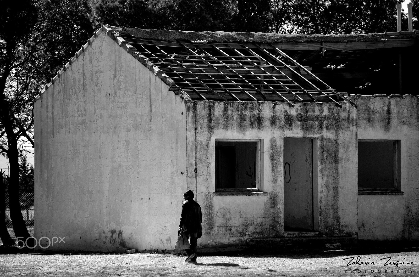 Nikon D7000 sample photo. Untitled photography