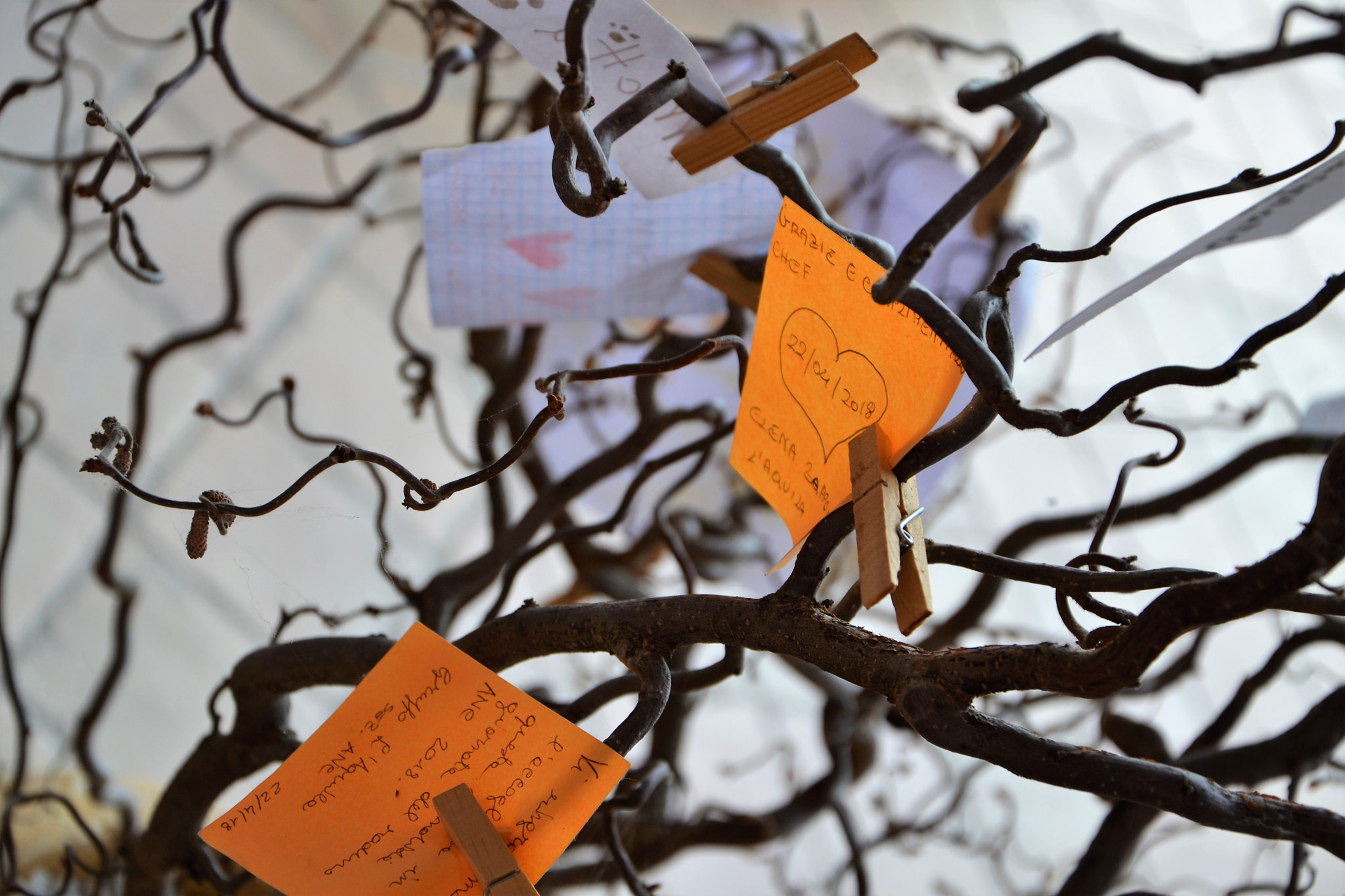 Nikon D3100 sample photo. Words hanging photography