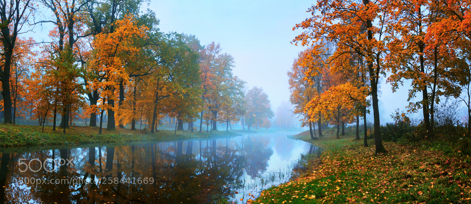Canon EOS 50D sample photo. Nature, landscape, peterhof, canal photography