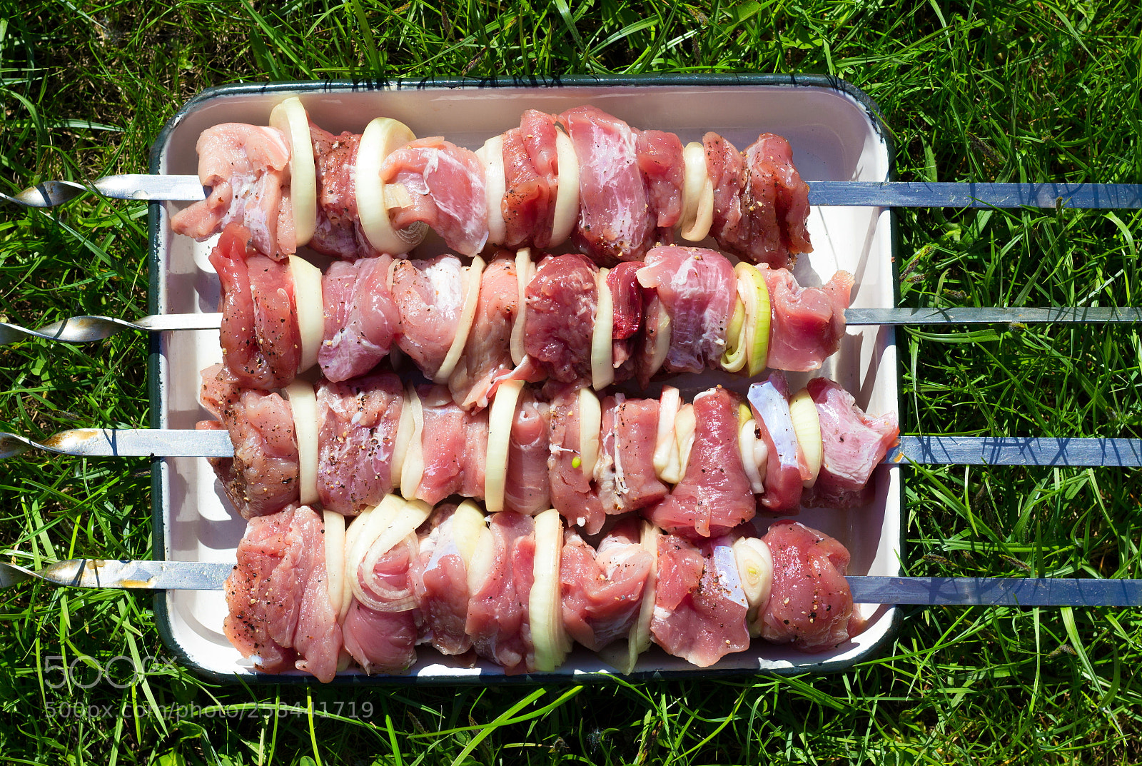 Canon EOS 100D (EOS Rebel SL1 / EOS Kiss X7) sample photo. Shish kebab on picnic photography