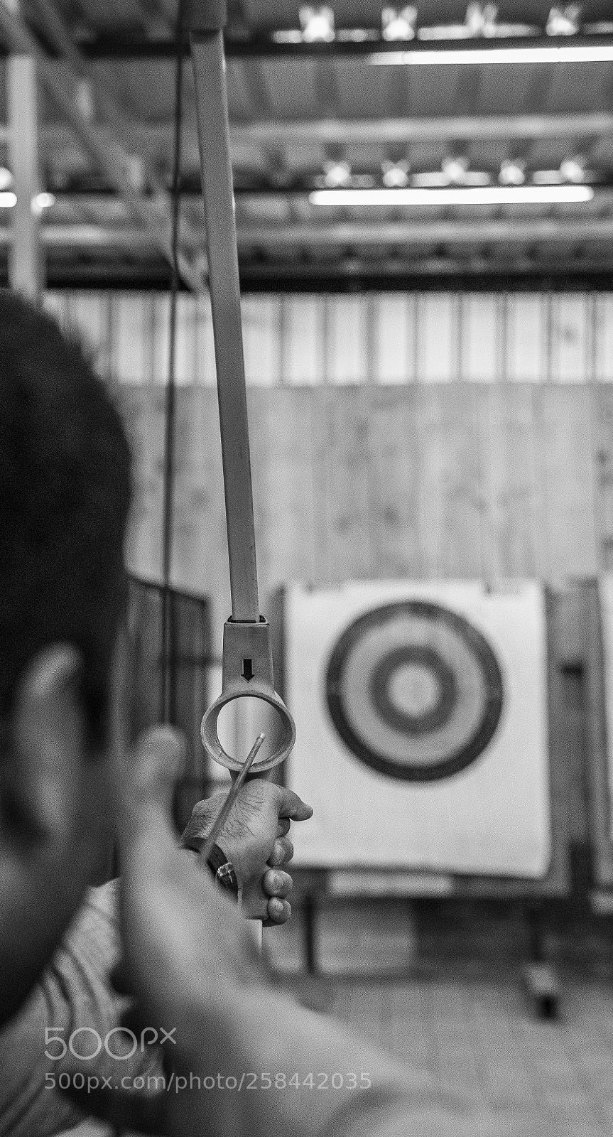 Nikon D750 sample photo. Archer photography