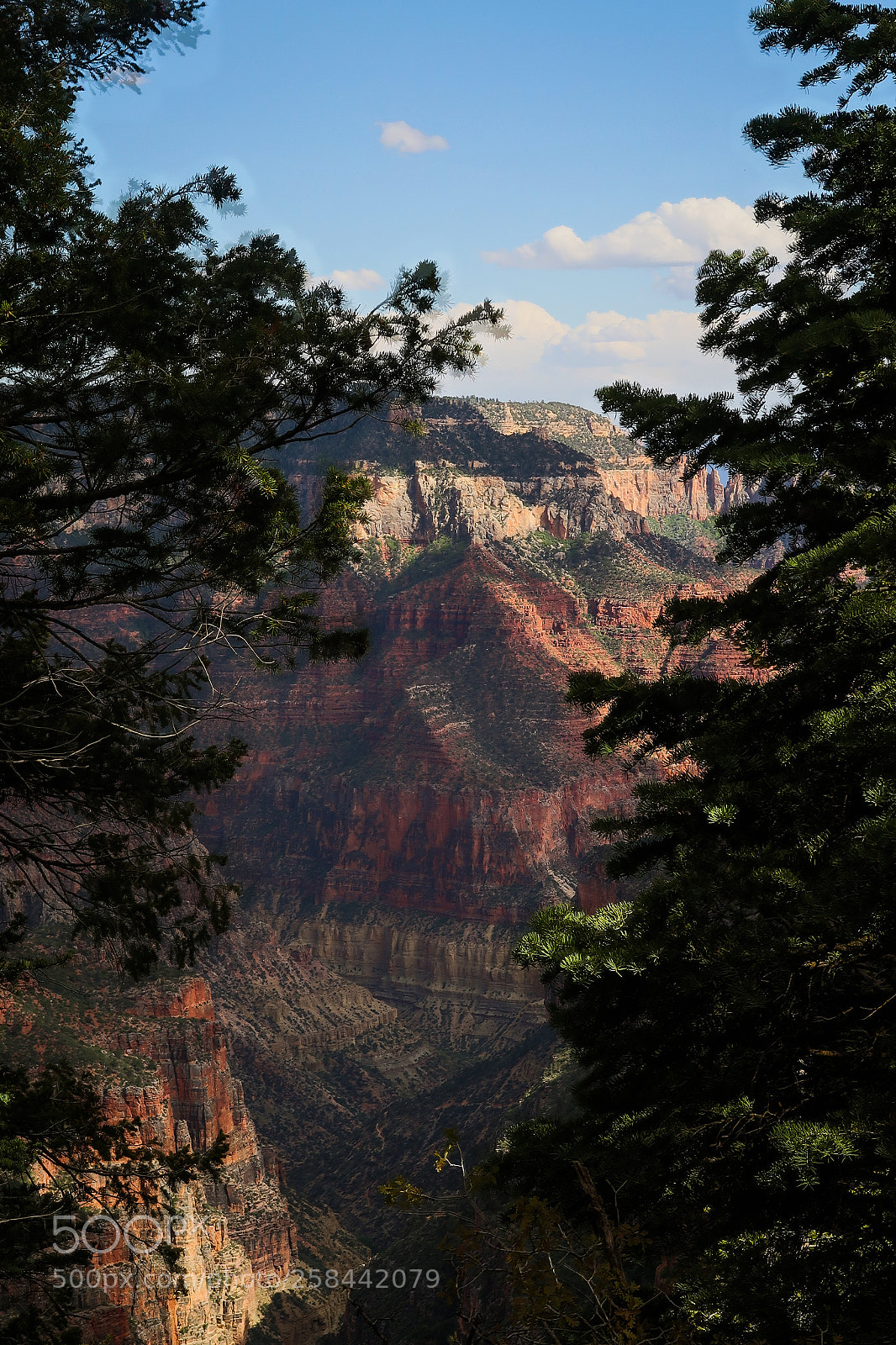 Canon PowerShot G7 X Mark II sample photo. A wild grand canyon photography