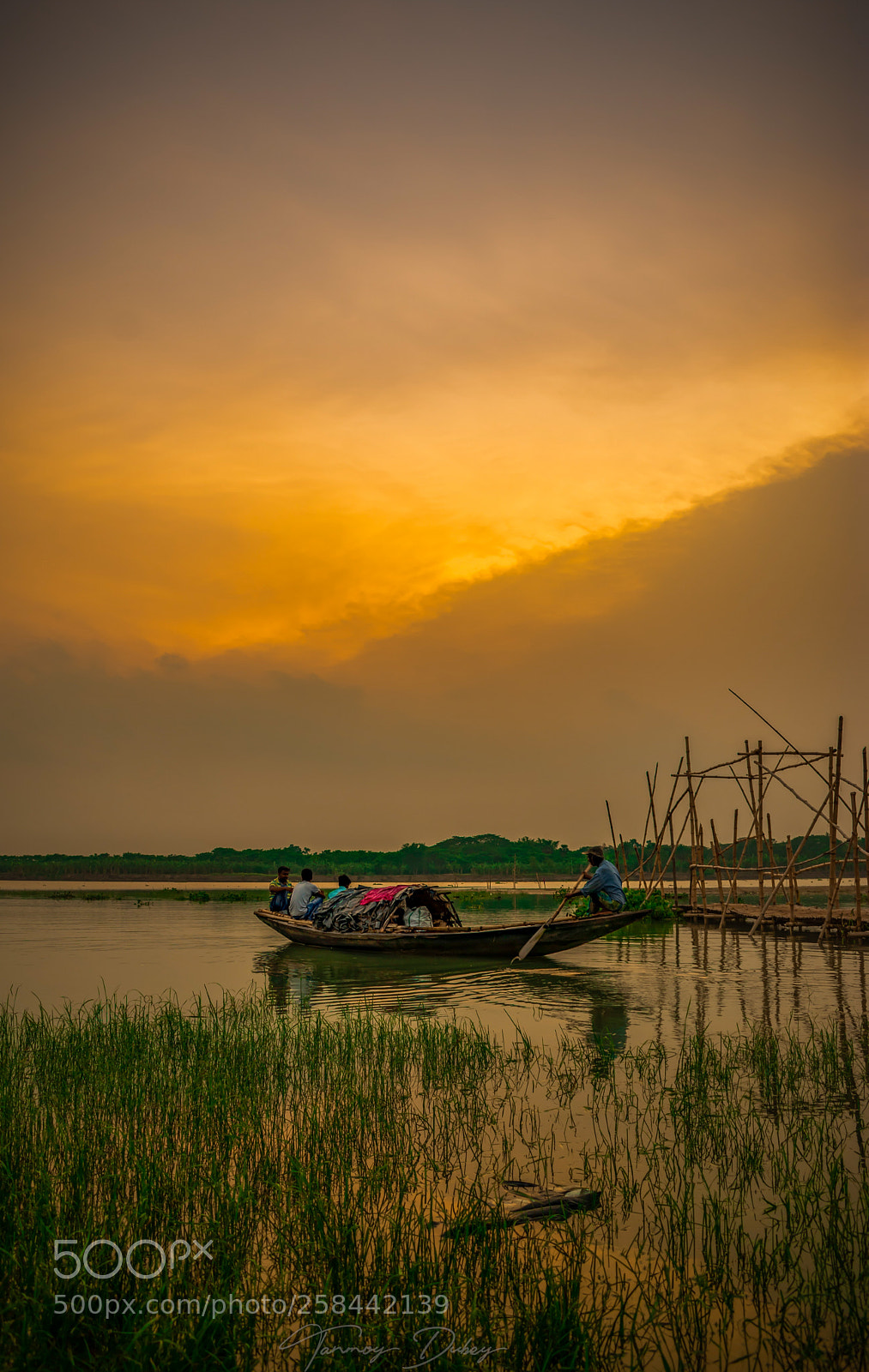 Nikon D7200 sample photo. Returning photography