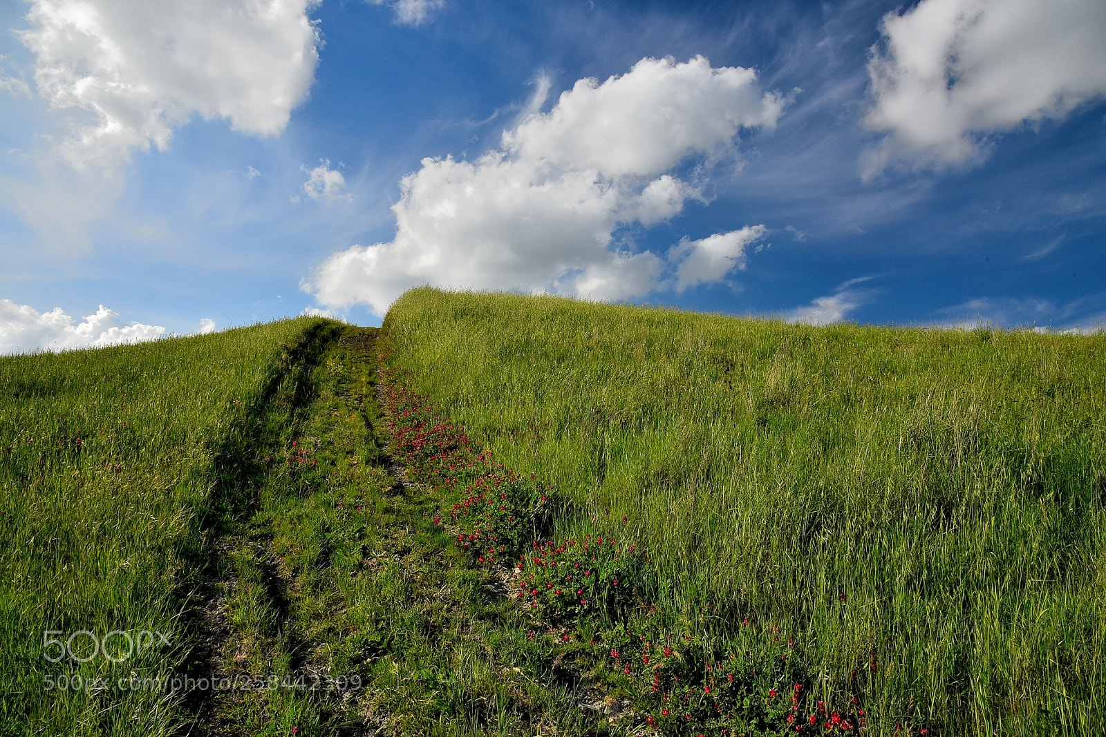 Nikon AF-S Nikkor 24-120mm F4G ED VR sample photo. Walking towards the clouds photography