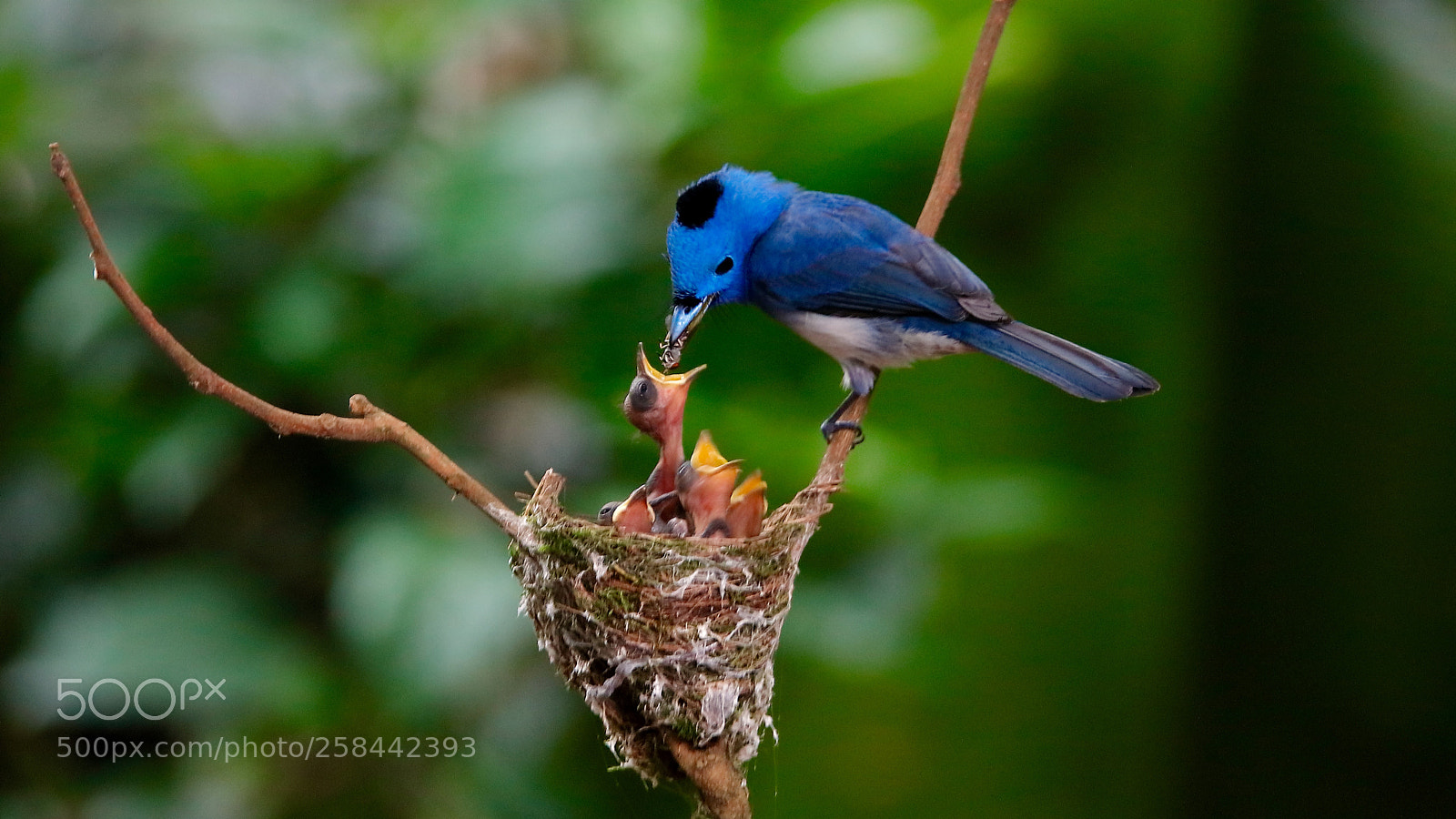 Canon EOS 5DS sample photo. Untitled photography