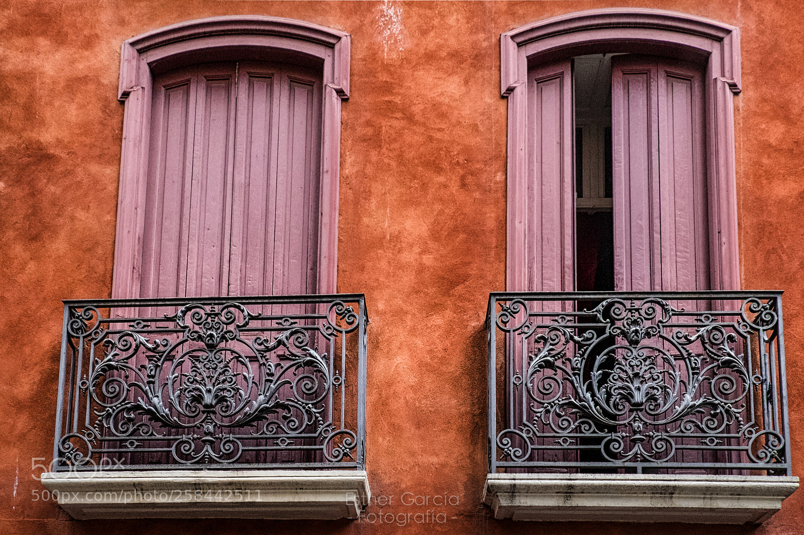 Fujifilm X-T1 sample photo. Together photography