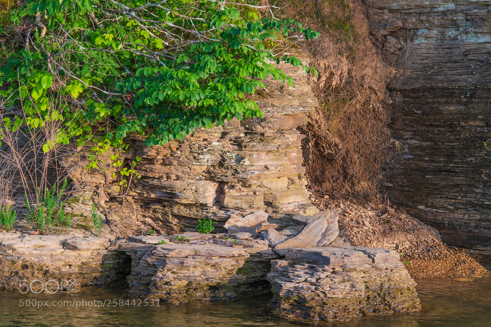 Nikon D850 sample photo. Smith lake alabama photography