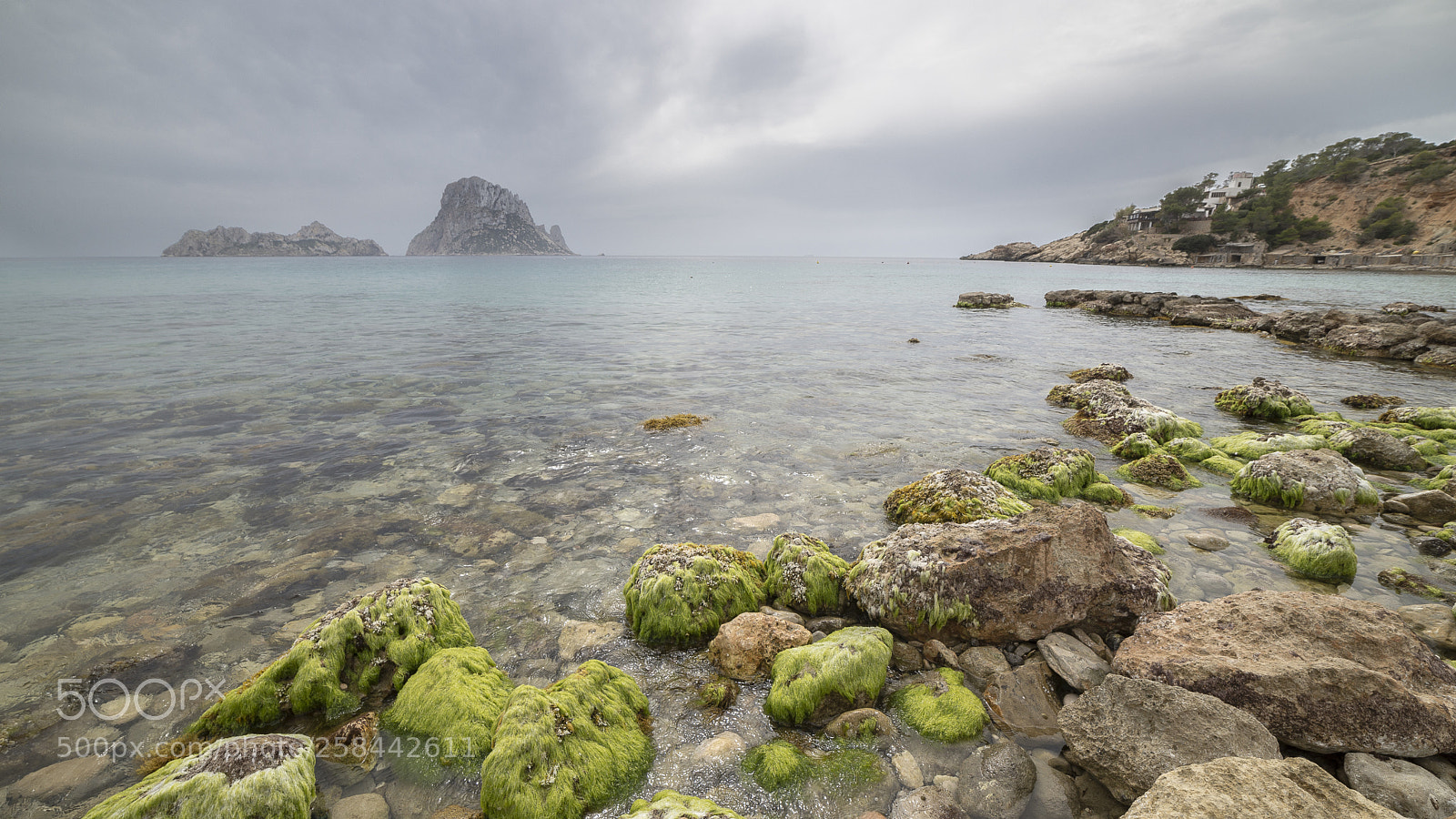 Nikon D610 sample photo. Rochers verts photography