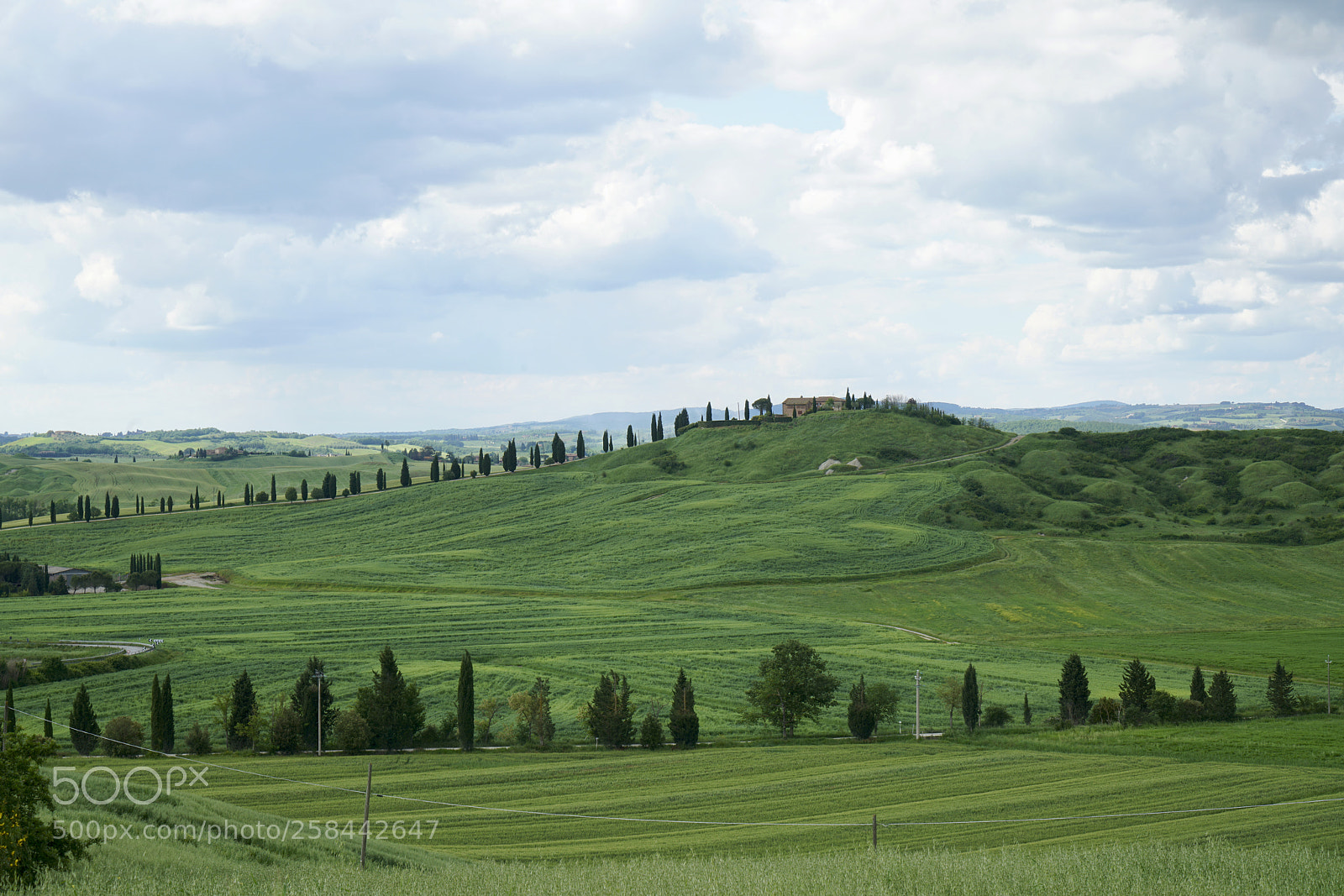 Sony a7R II sample photo. Crete senesi photography