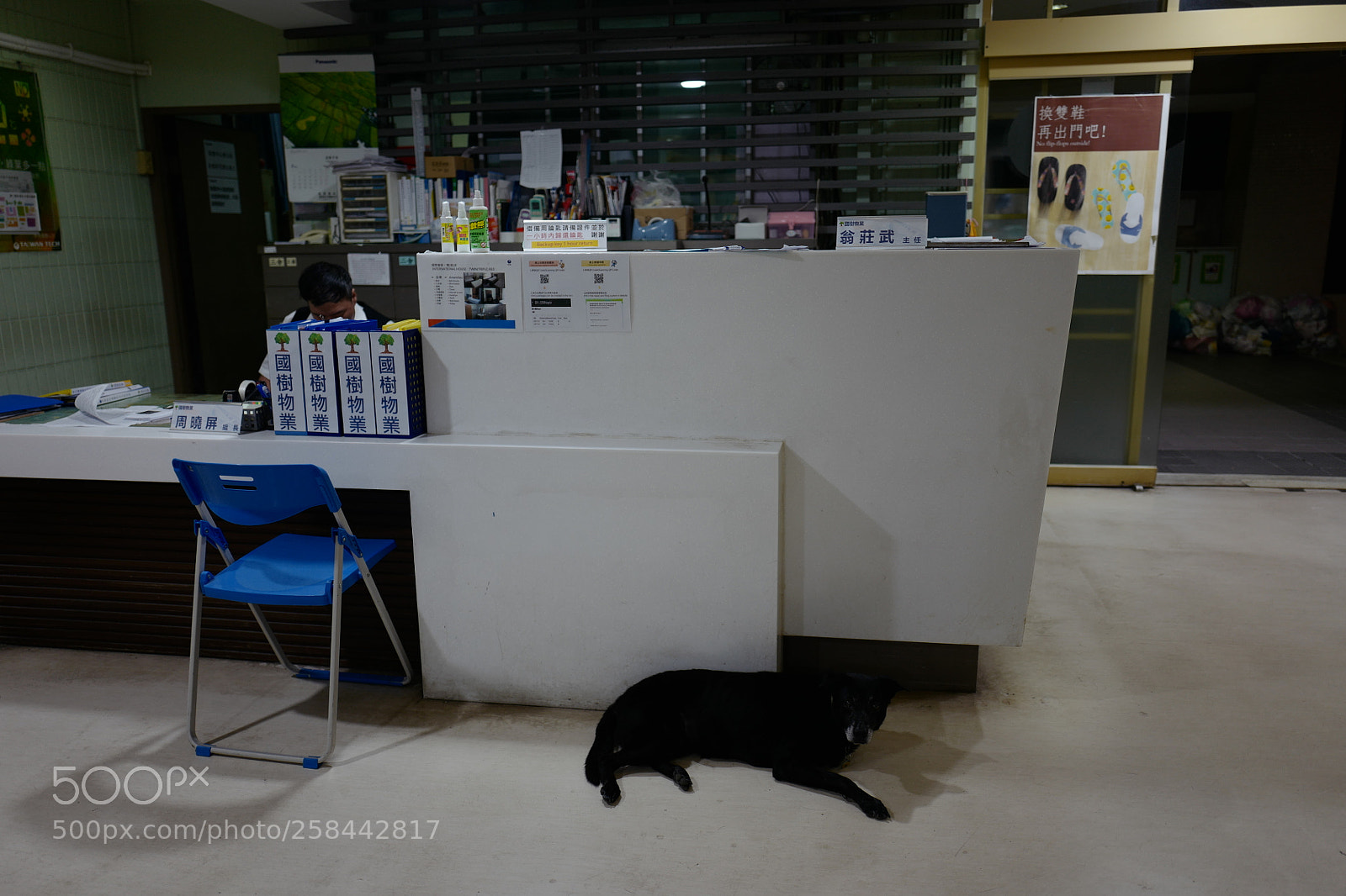 Leica Q (Typ 116) sample photo. 宿舍门口最傲娇且慵懒的大黑狗， photography