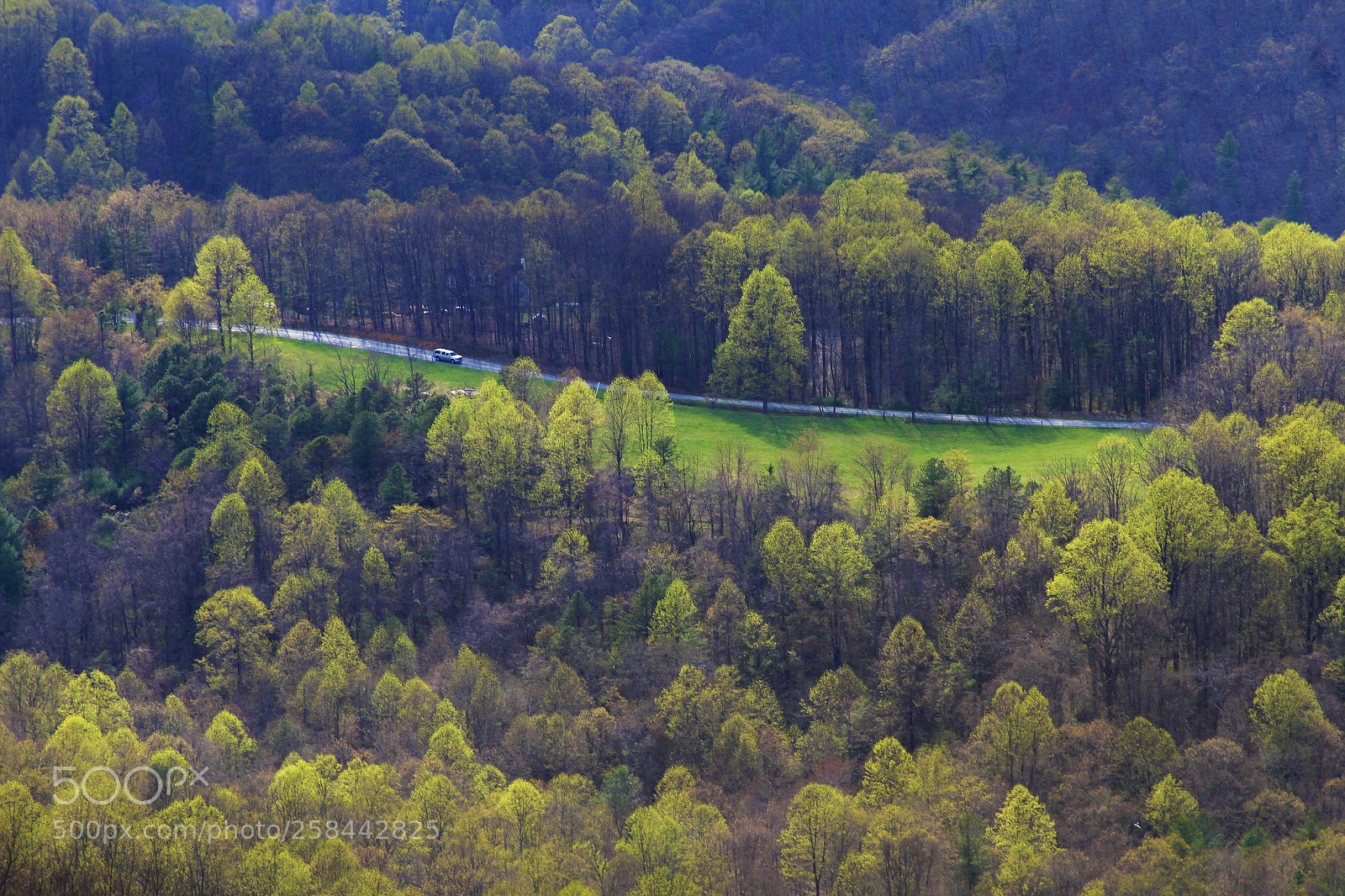 Canon EOS 7D sample photo. Mosey through the valley photography