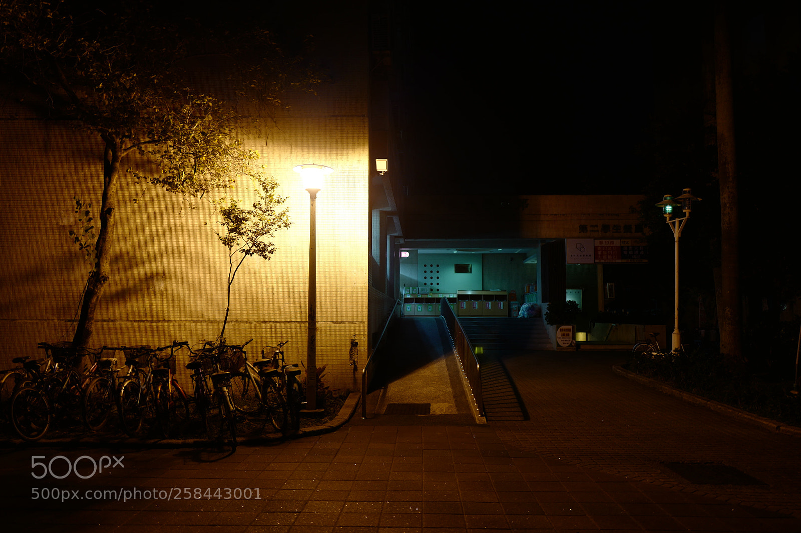 Leica Q (Typ 116) sample photo. L photography