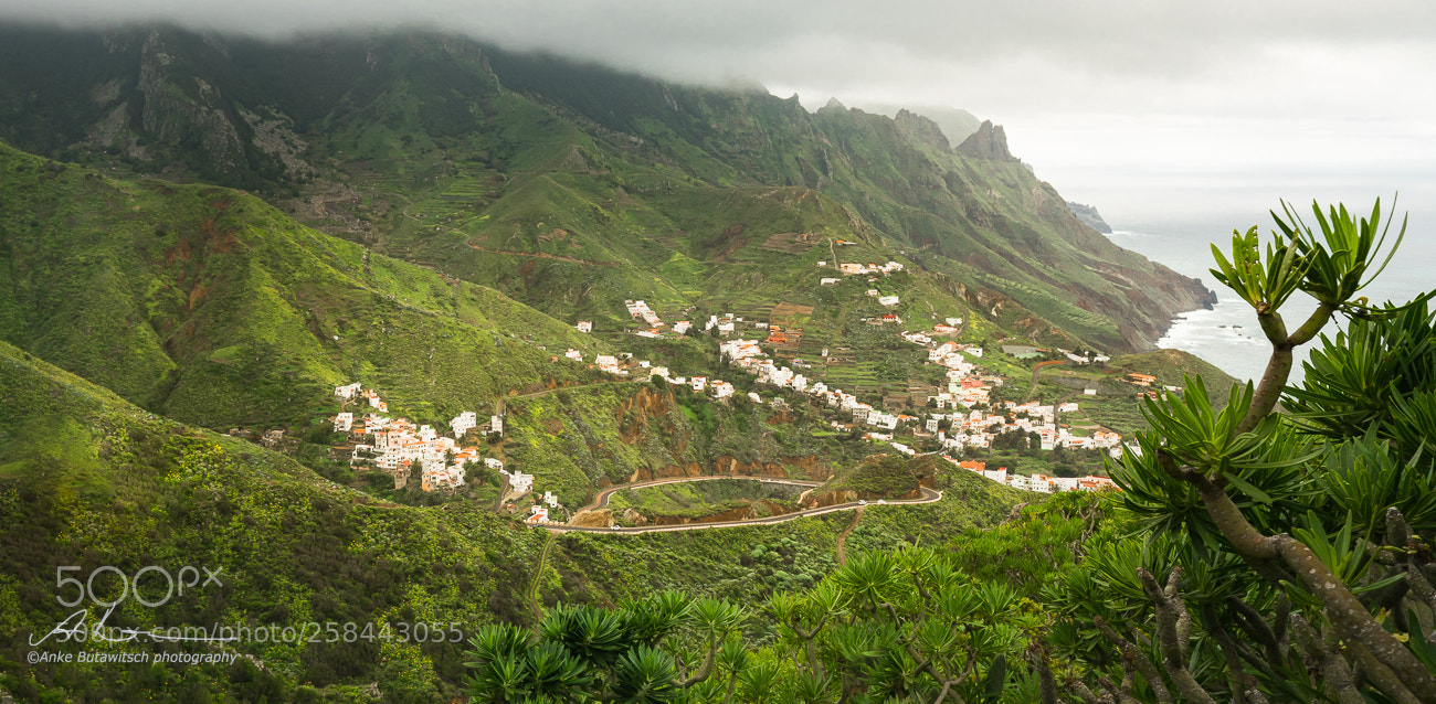 Sony a7R II sample photo. Green village photography