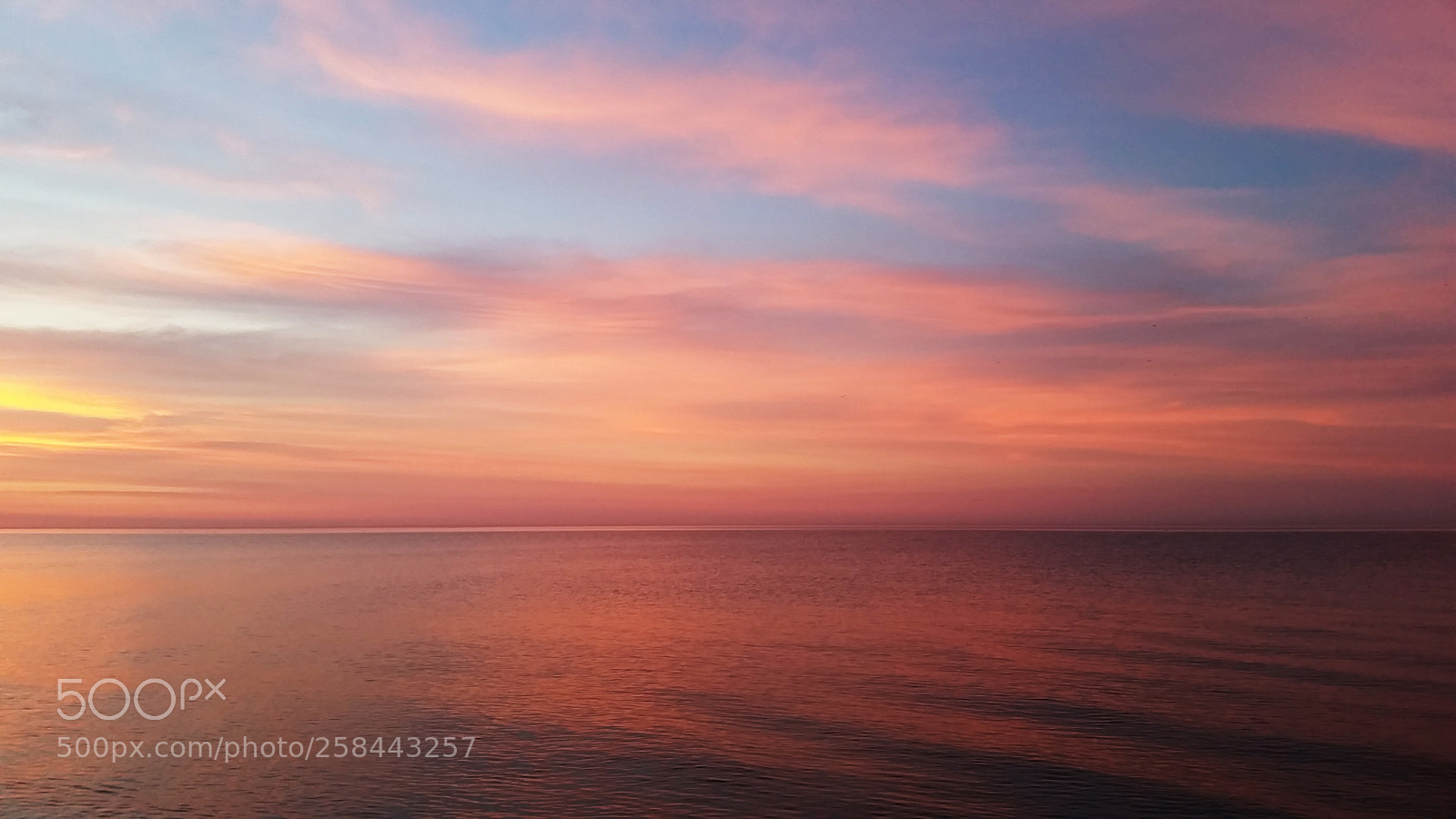Samsung Galaxy S5 sample photo. Pink and blue horizon photography