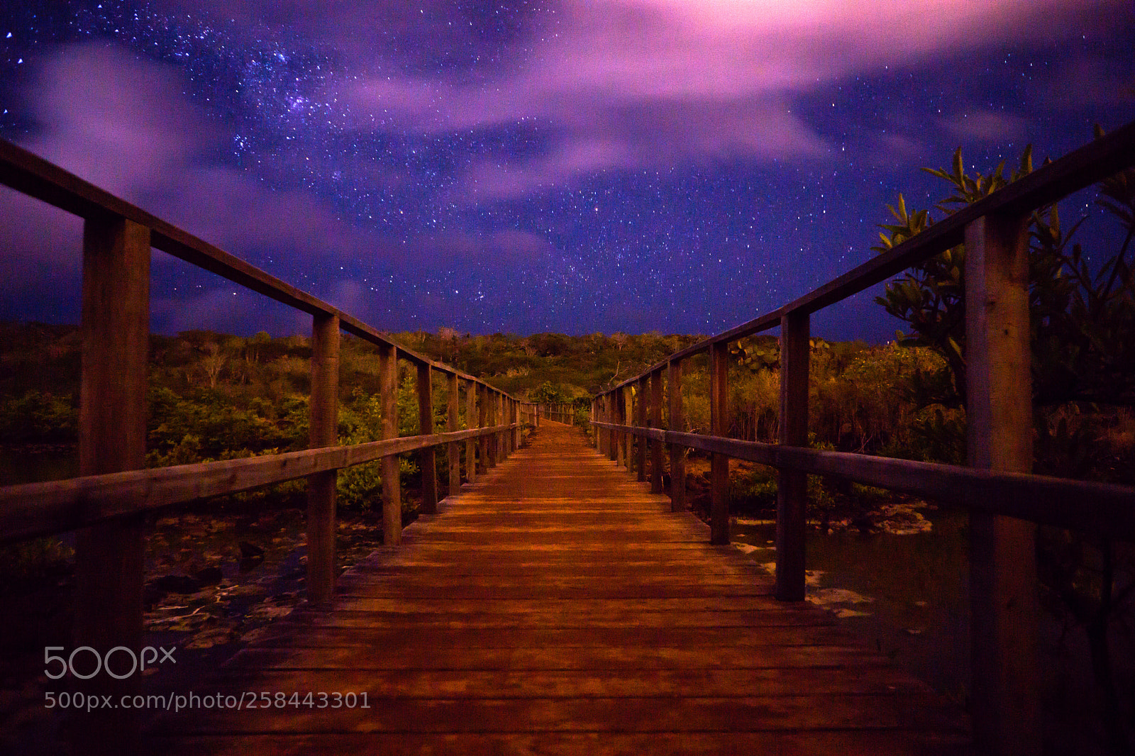 Sony a6000 sample photo. Night bridge photography