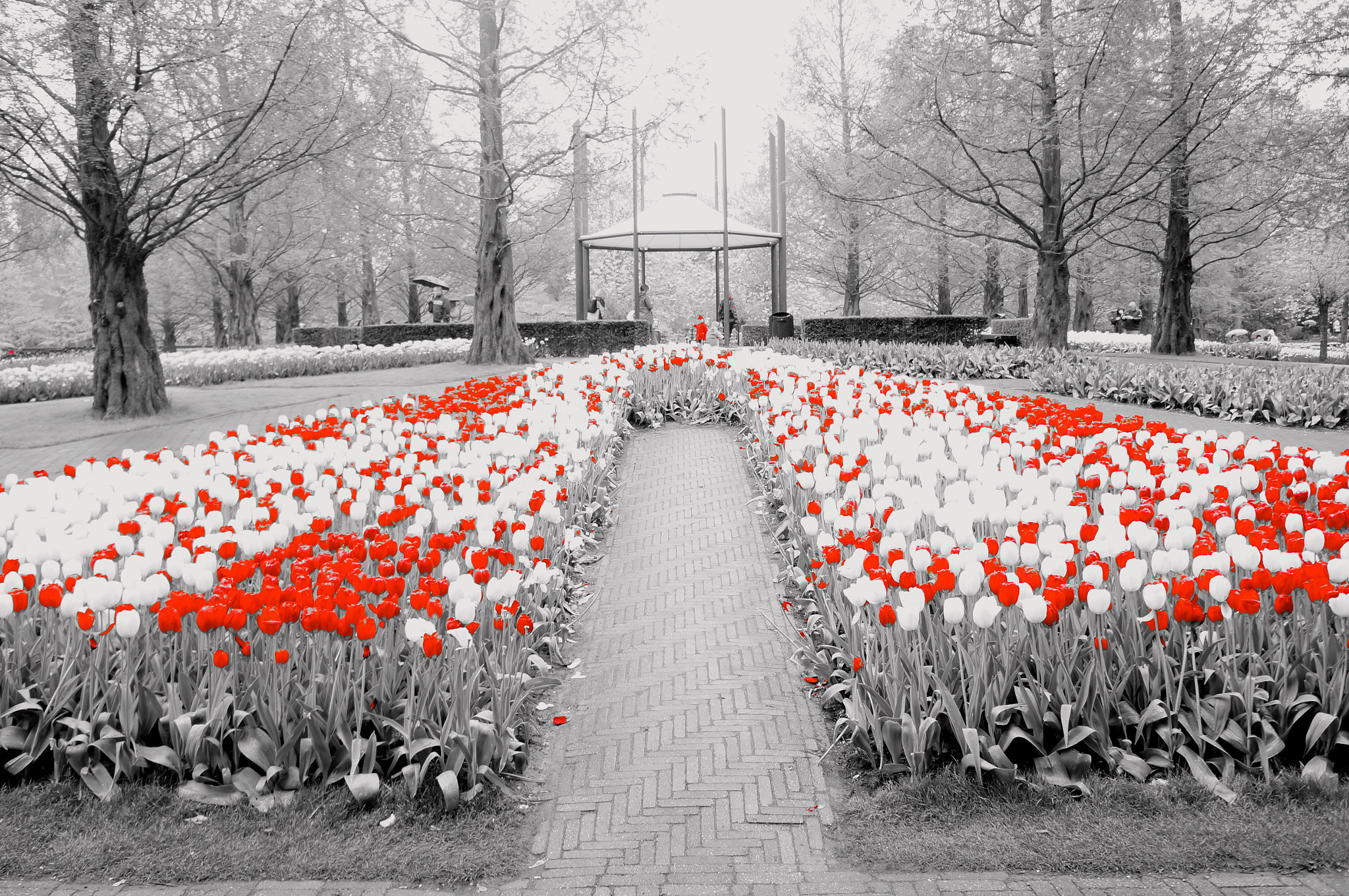 Sony Alpha NEX-5N sample photo. Red child photography