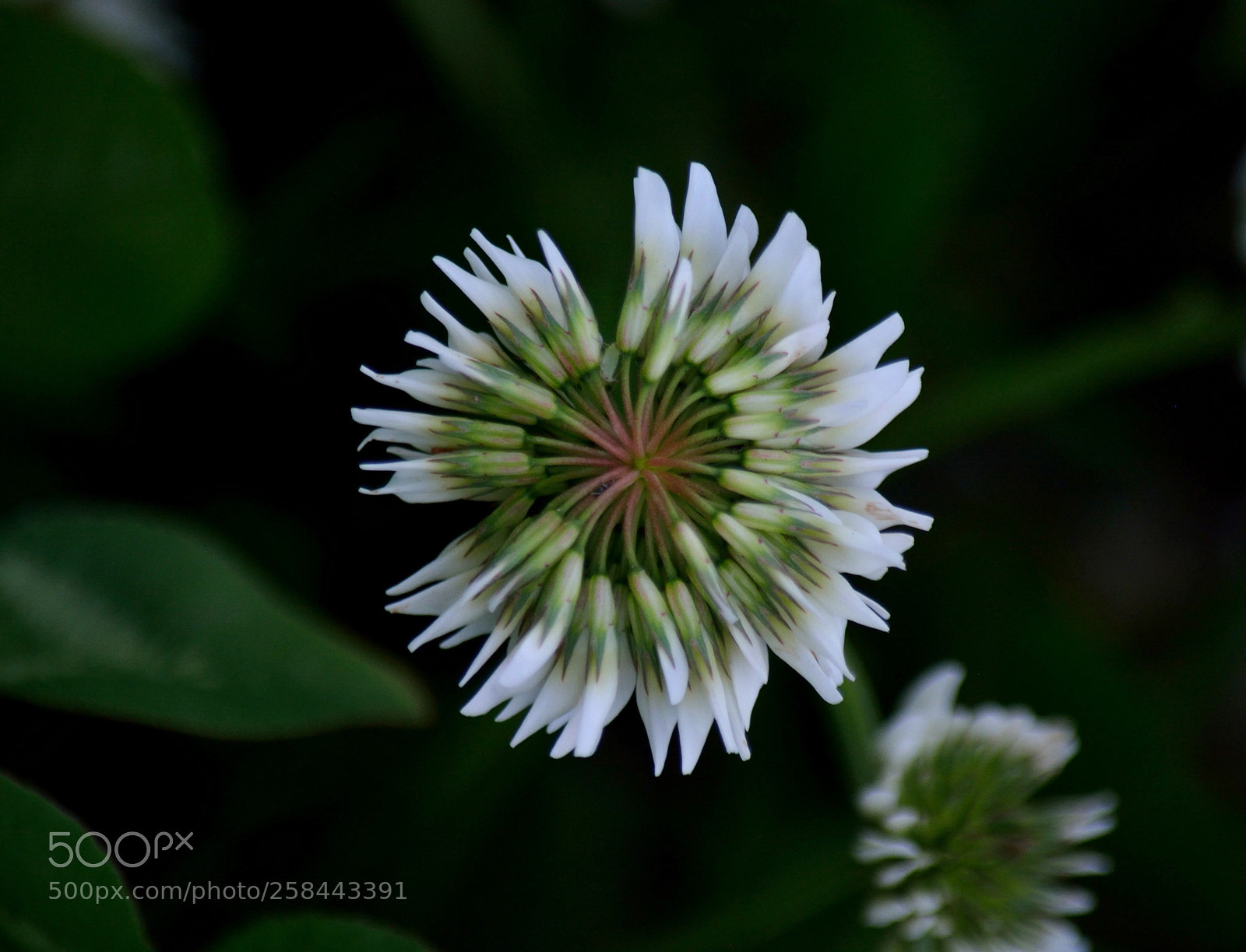 Nikon D5200 sample photo. Untitled photography
