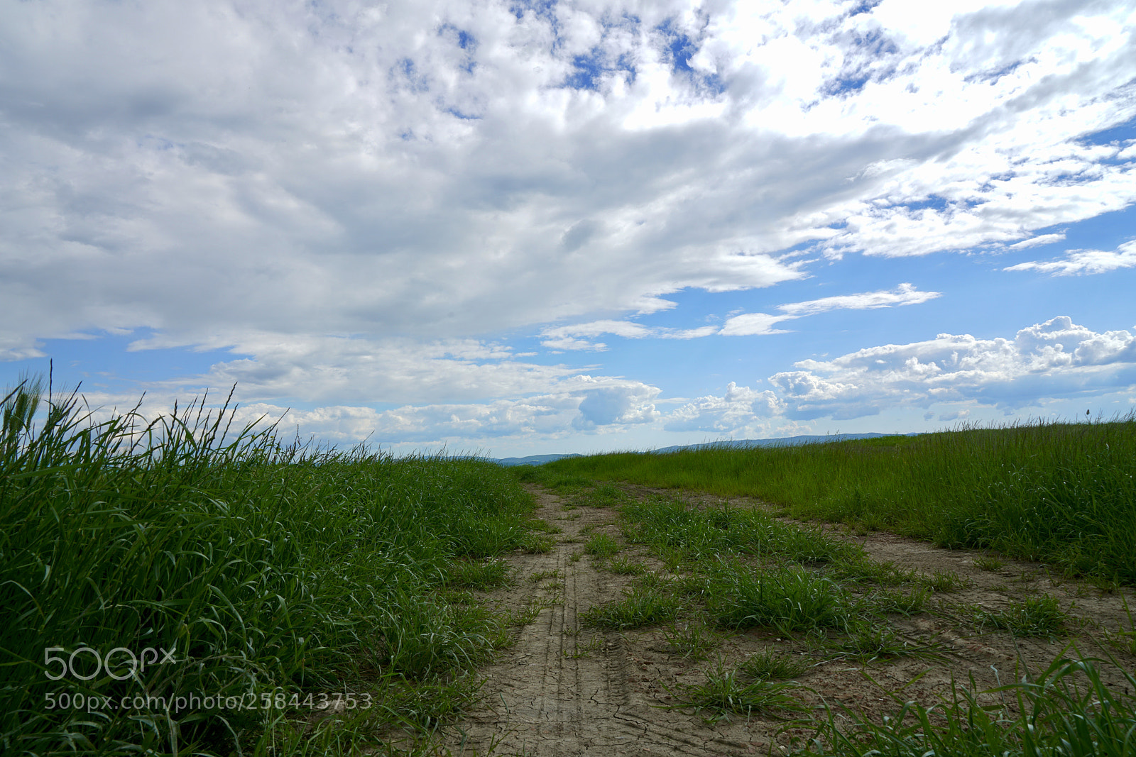 Sony a7R II sample photo. Cloudy sky on country photography