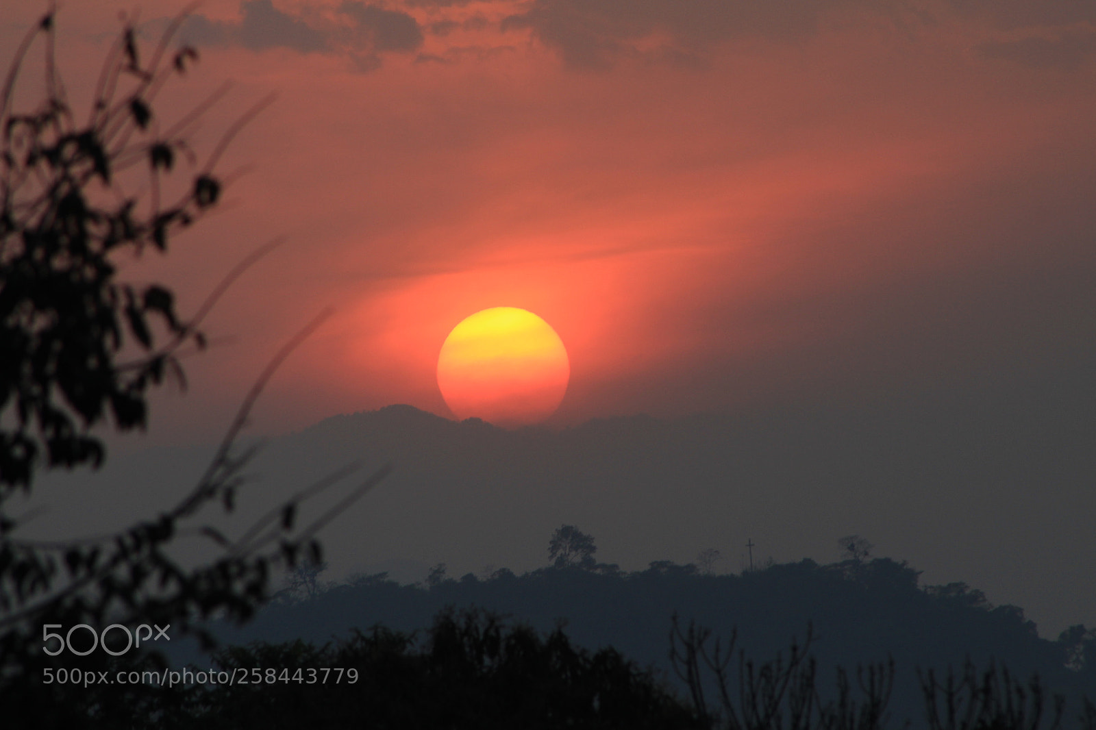 Canon EF 75-300mm f/4-5.6 sample photo. Untitled photography