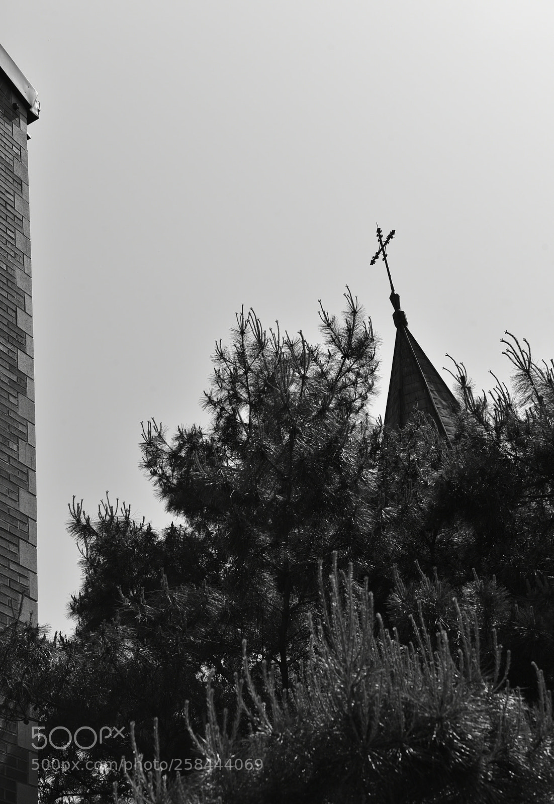 Nikon D750 sample photo. * the cross photography