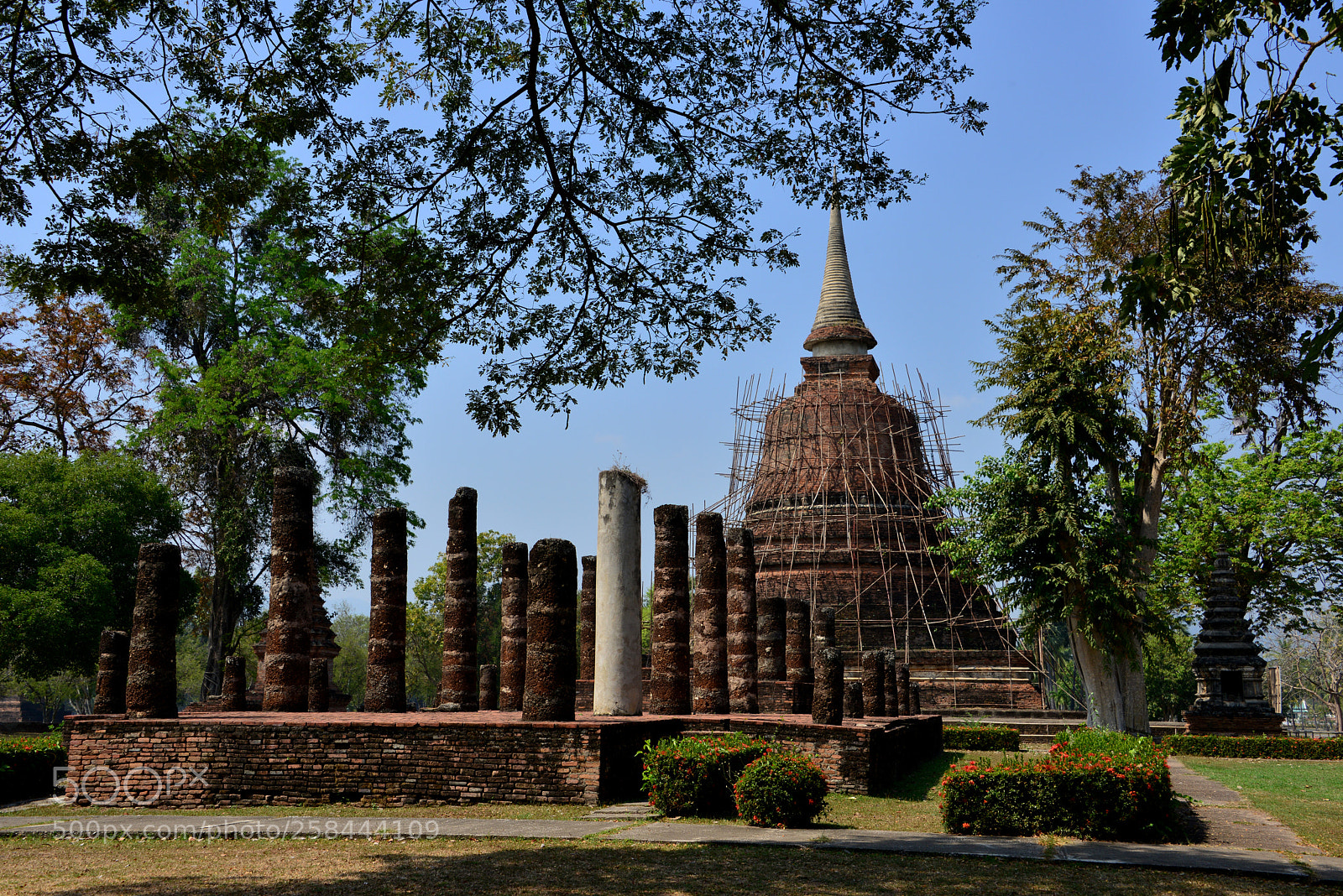 Nikon D800 sample photo. Wat chana song khram photography