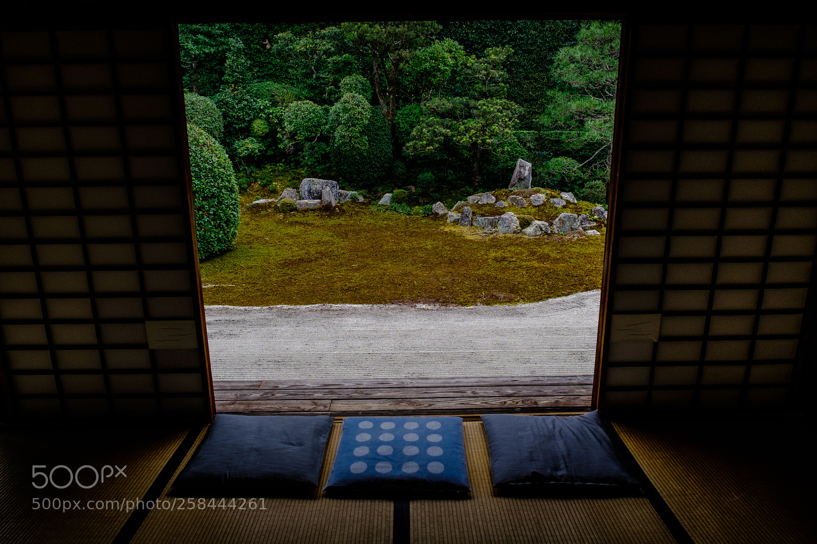Fujifilm X-Pro2 sample photo. Why don't you sit photography