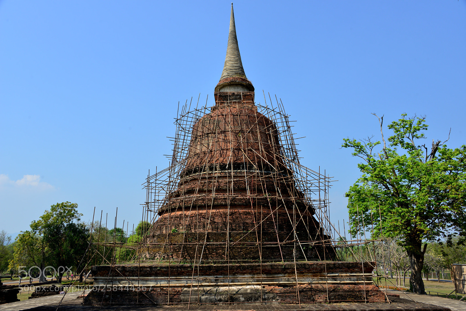 Nikon D800 sample photo. Wat chana song khram photography