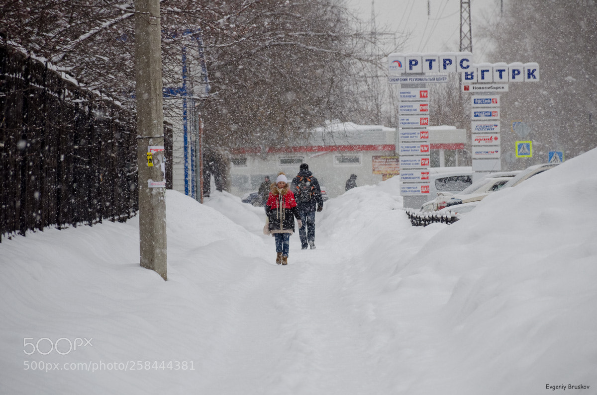 Nikon D7000 sample photo. Снегопад photography