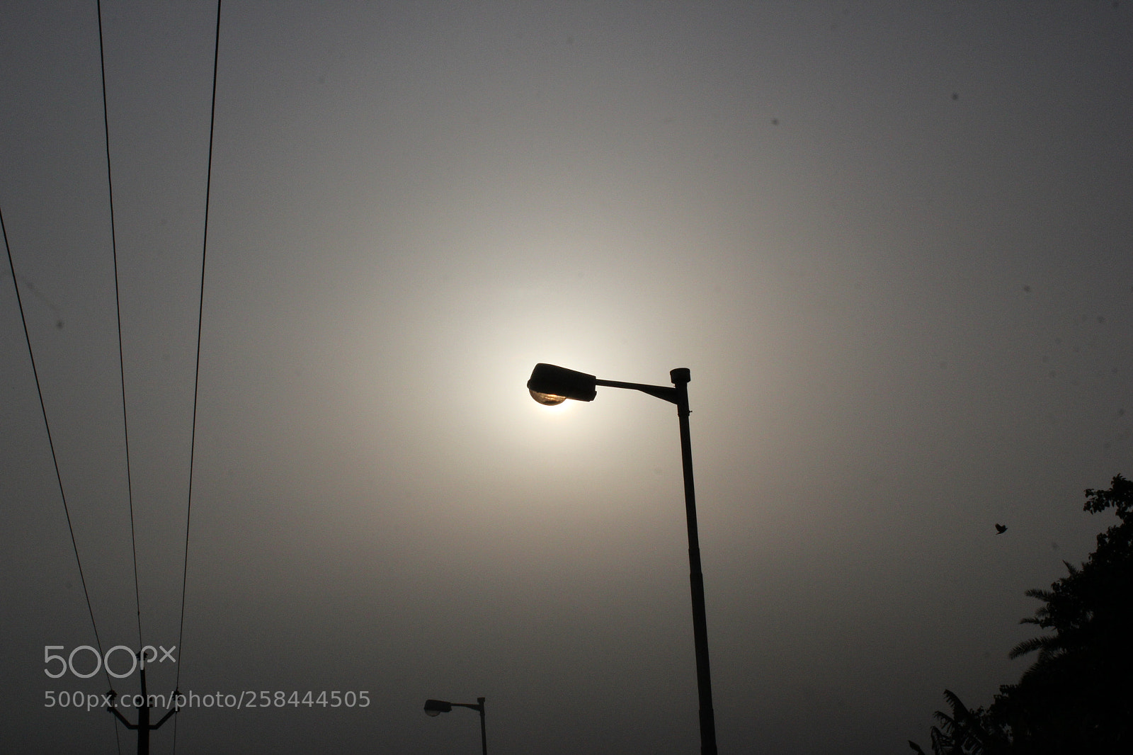 Canon EF-S 18-55mm F3.5-5.6 IS sample photo. Street lamppost coverd the photography
