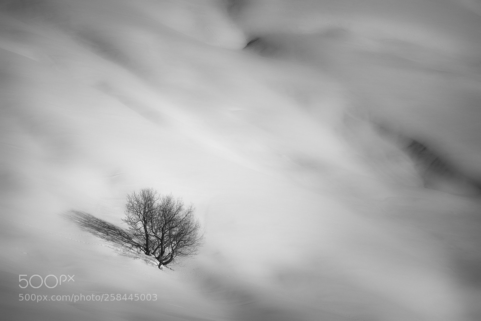 Fujifilm X-T1 sample photo. Alone in snow desert photography