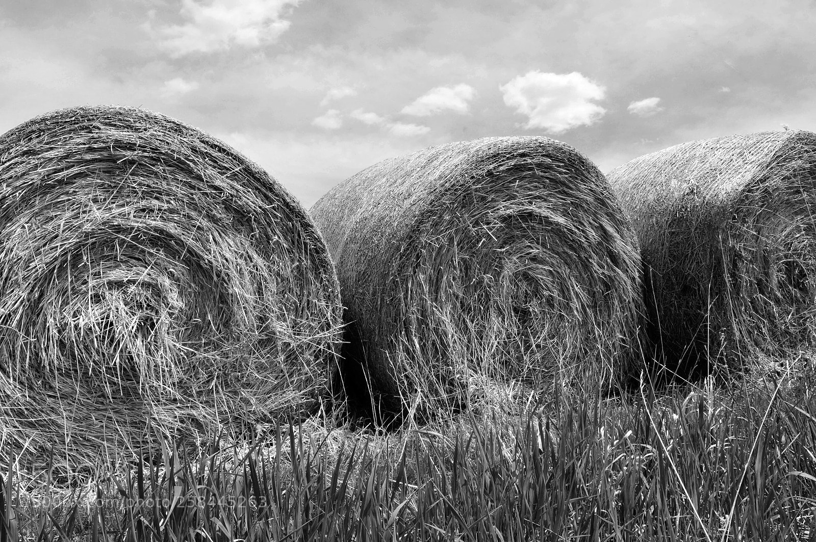 Nikon D300 sample photo. Fairfield hay rolls photography