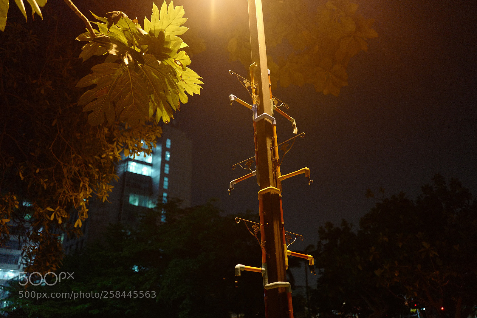 Leica Q (Typ 116) sample photo. 仰光 photography