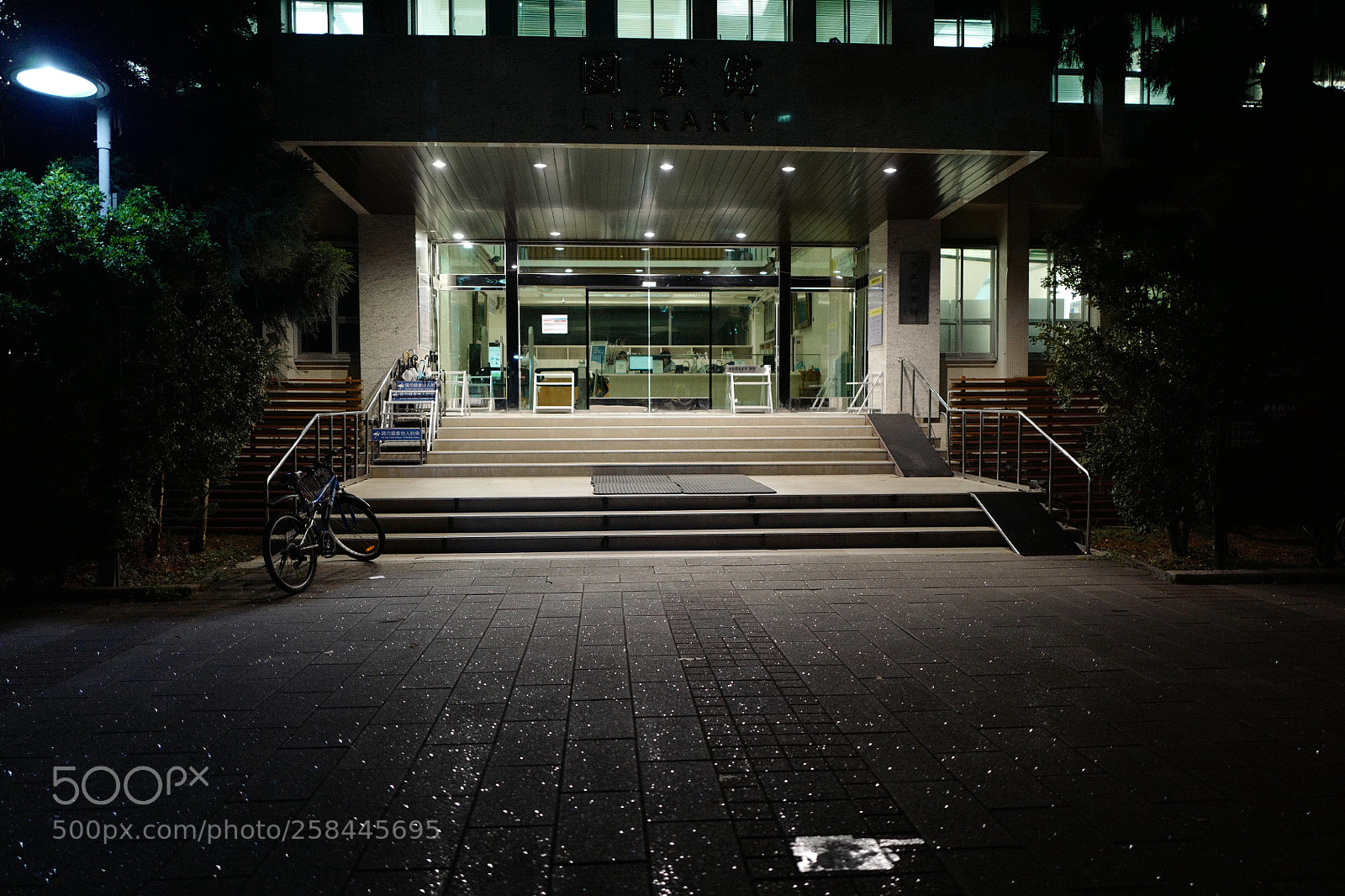 Leica Q (Typ 116) sample photo. 星光點點 photography