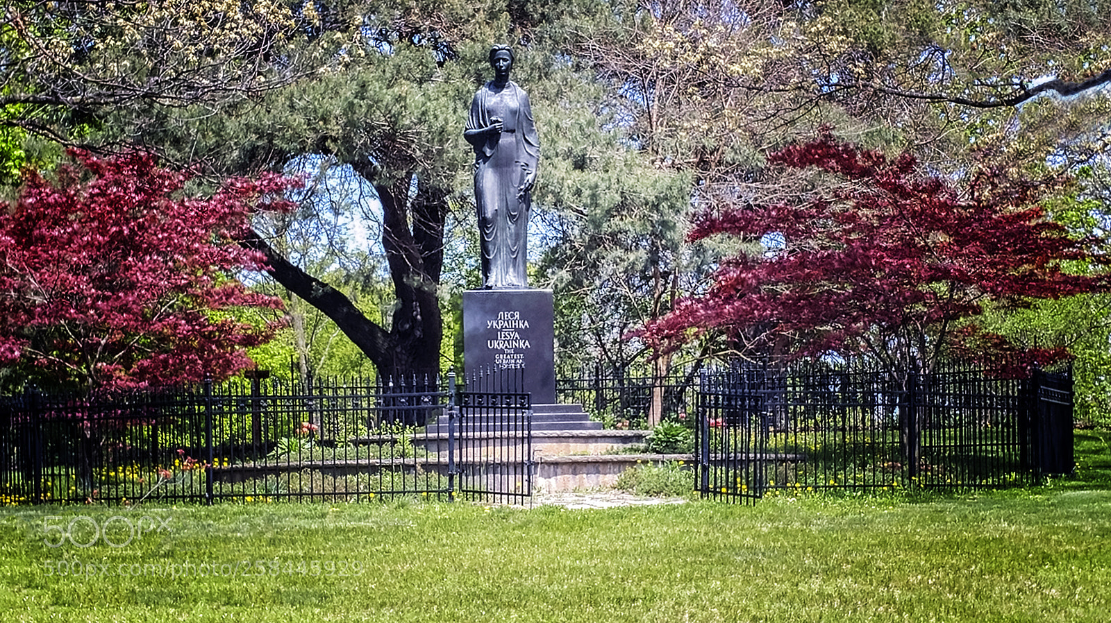 LG G5 sample photo. High park photography