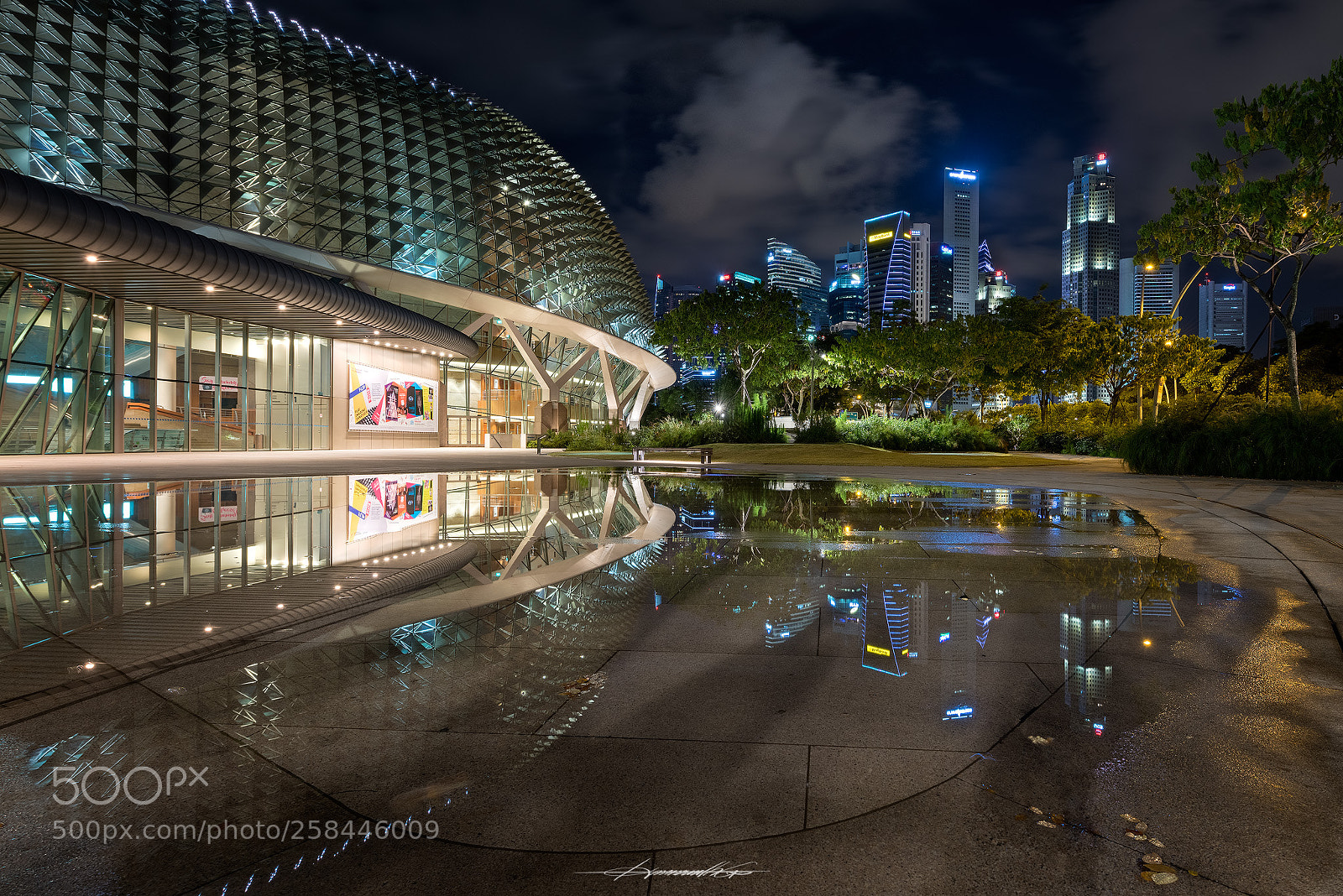 Nikon D850 sample photo. Durian durian photography