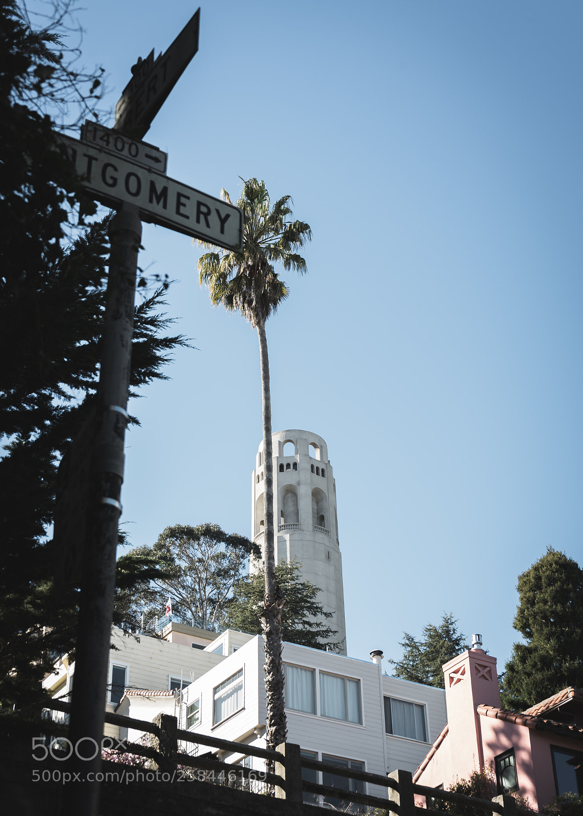 Sony a7 II sample photo. The shining beacon of photography