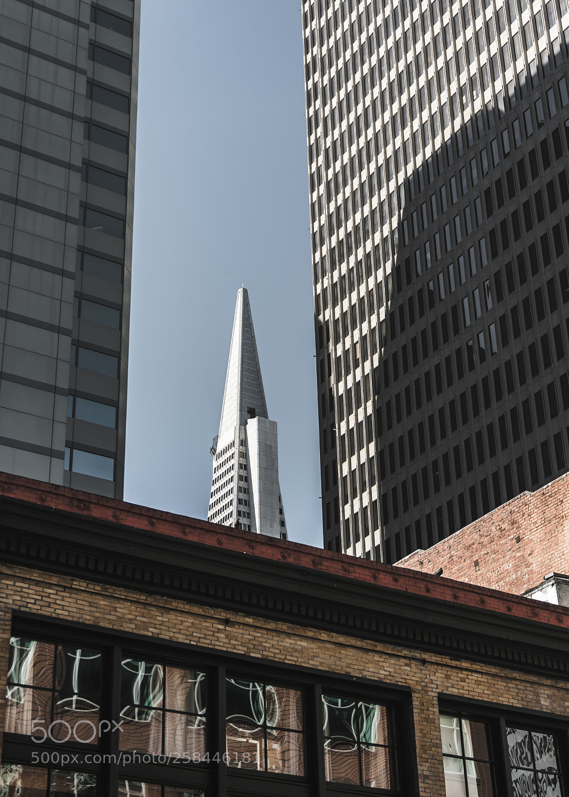 Sony a7 II sample photo. Framing the transamerica pyramid photography