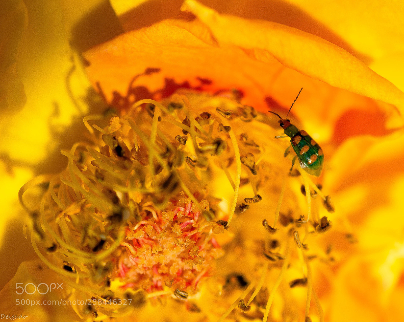 Nikon D7000 sample photo. Untitled photography