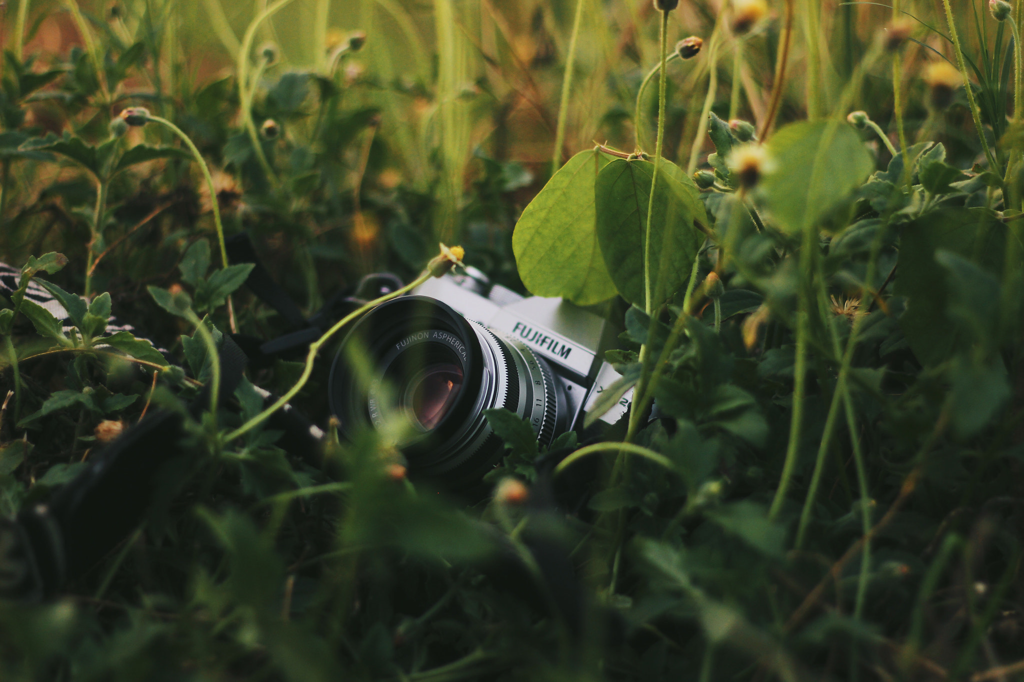 Canon EOS 600D (Rebel EOS T3i / EOS Kiss X5) sample photo. My third eye photography