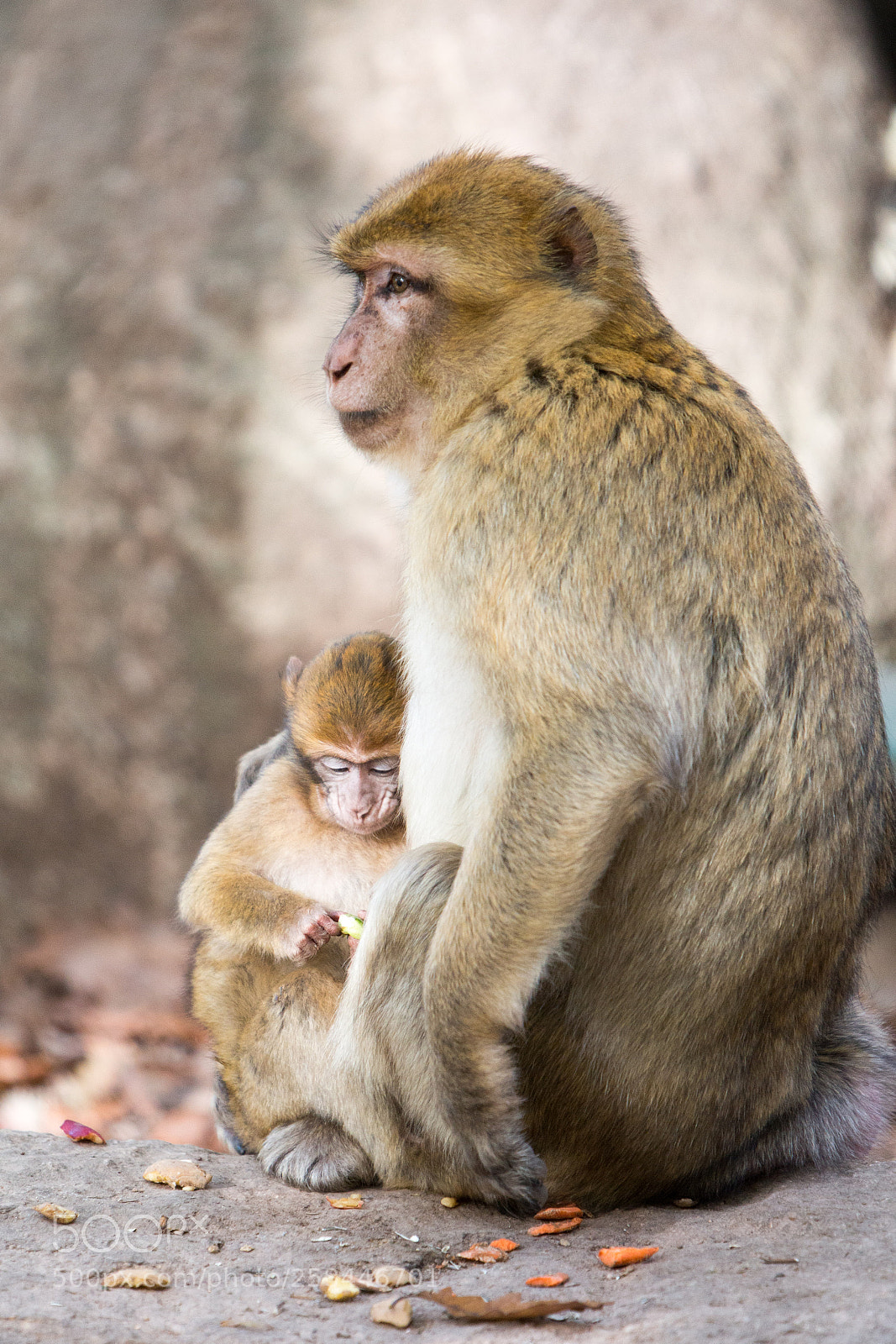 Canon EOS 70D sample photo. Tendresse d'une maman photography