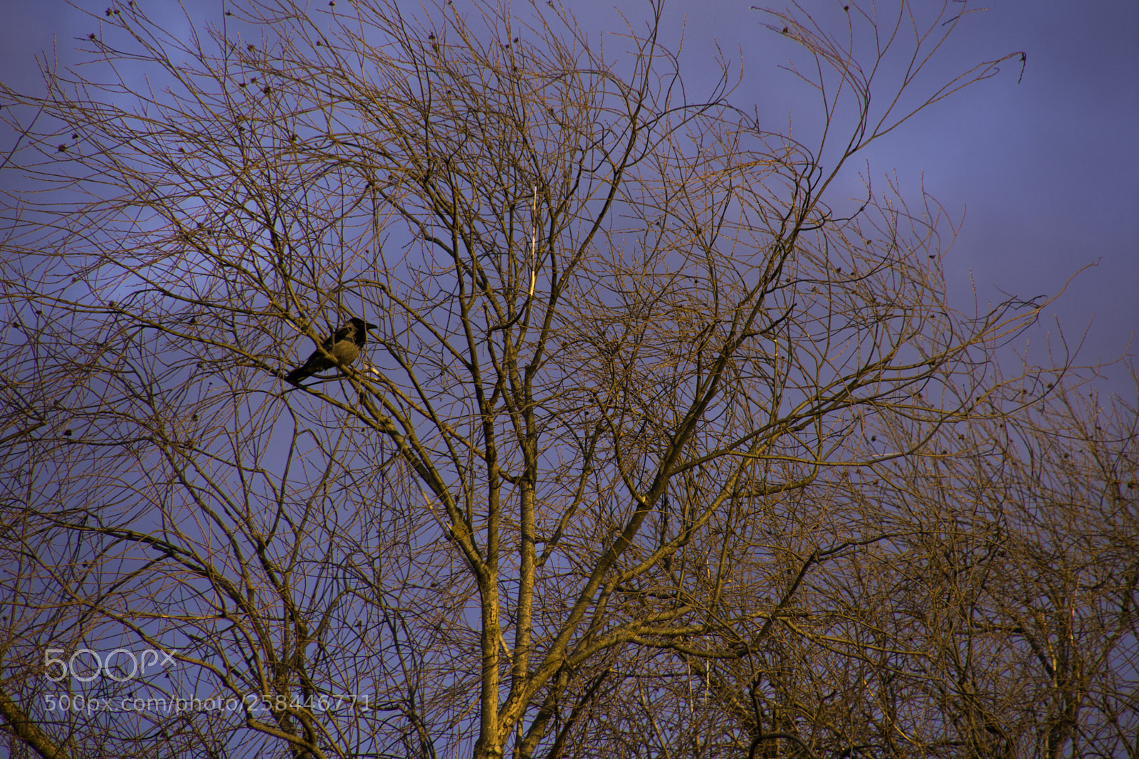 Nikon D7200 sample photo. Enjoy the sunset. photography