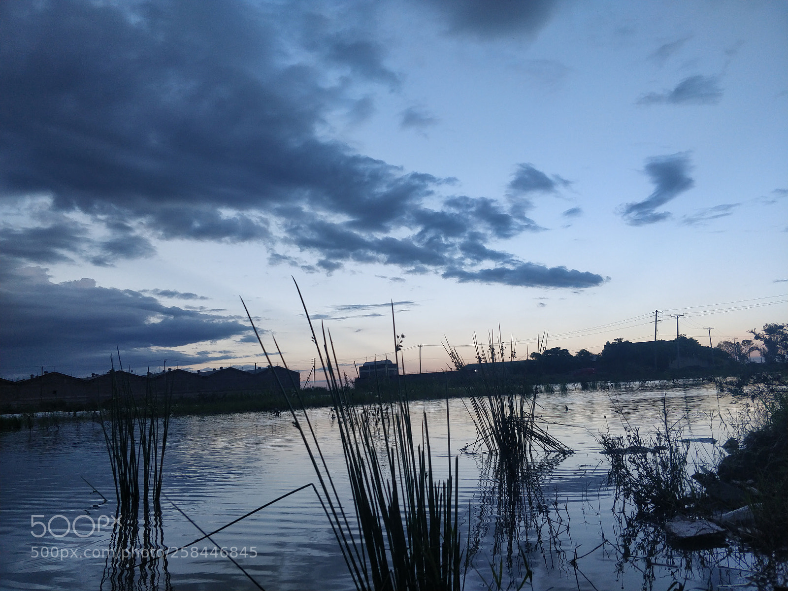 OnePlus 5 sample photo. Marsh lands photography