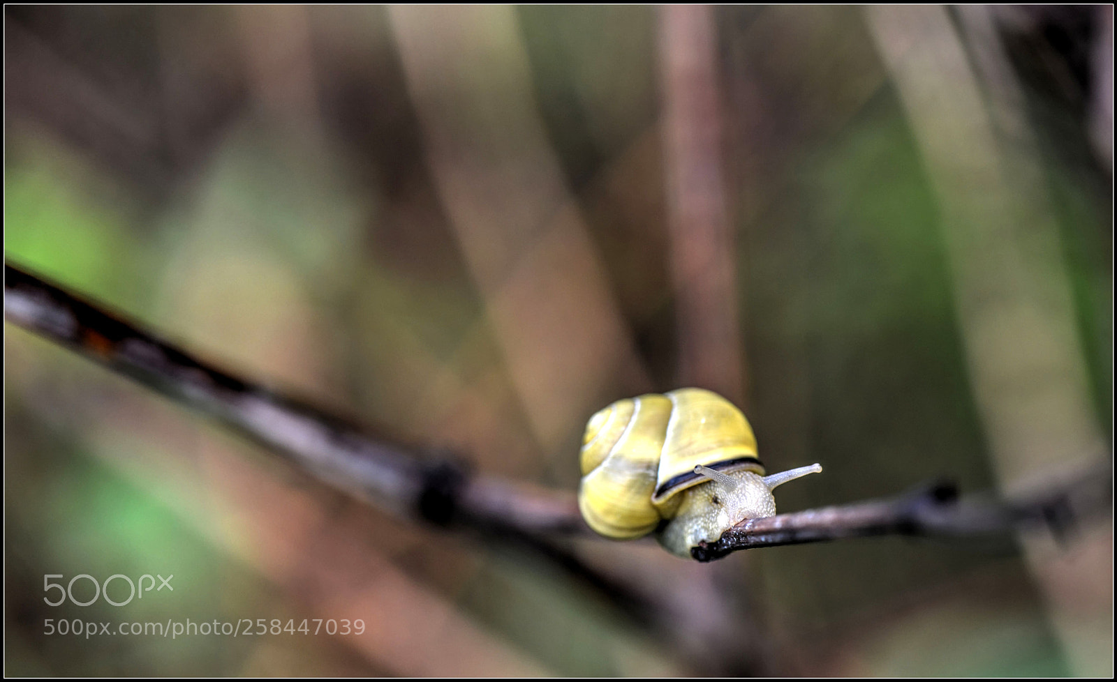 Nikon D800 sample photo. H o c h photography