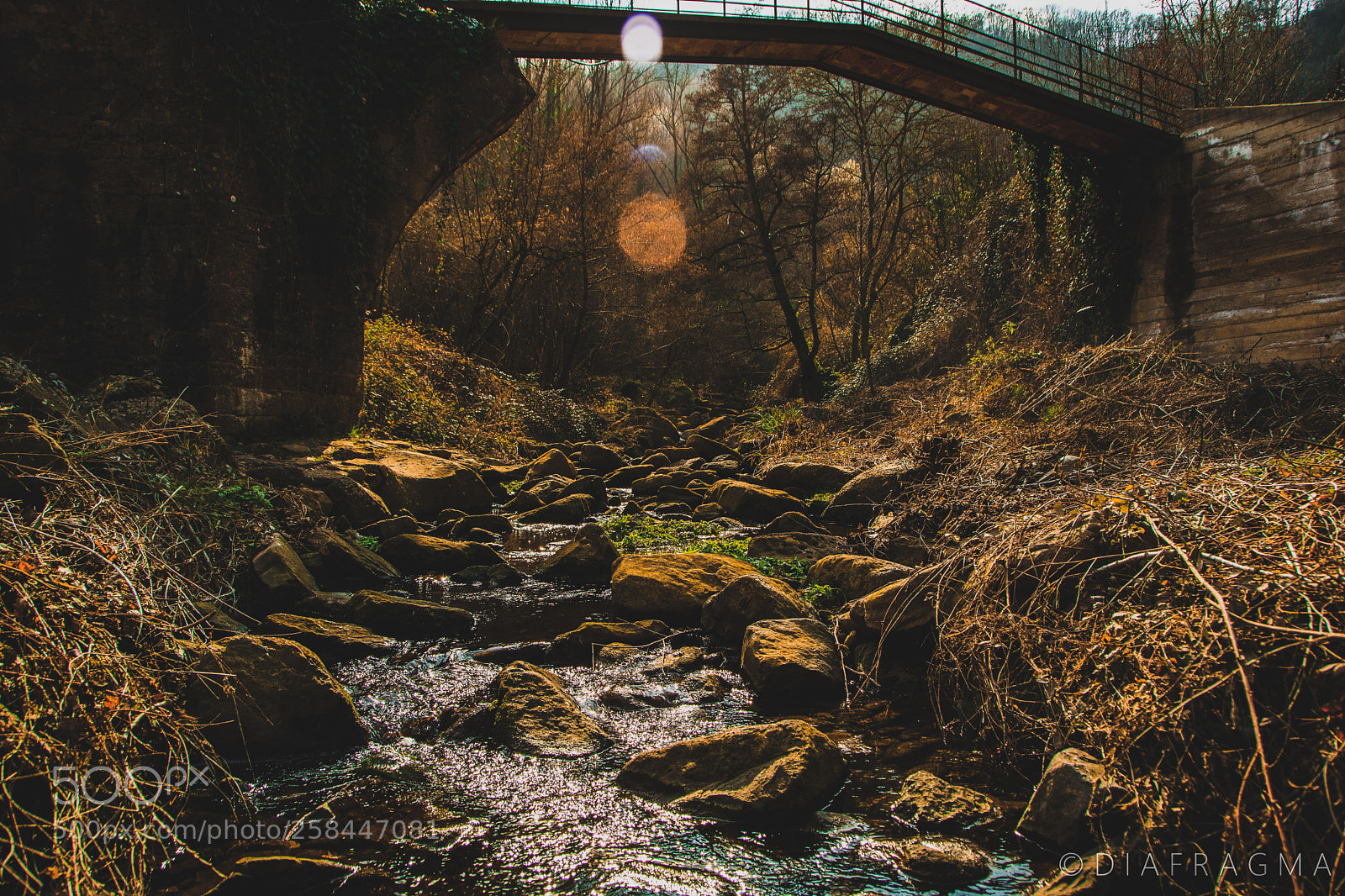 Nikon D5200 sample photo. Lonely_toghether photography