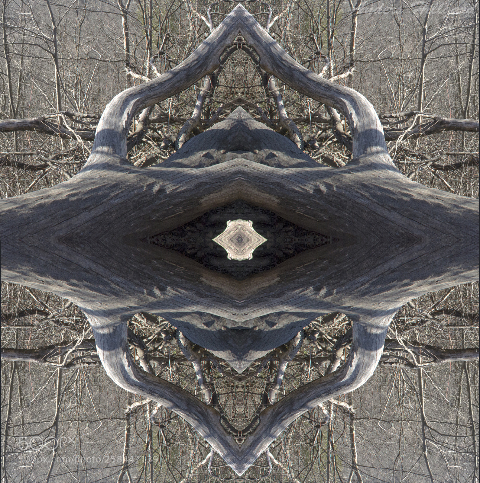 Nikon D3100 sample photo. Kaleidoscopic photography