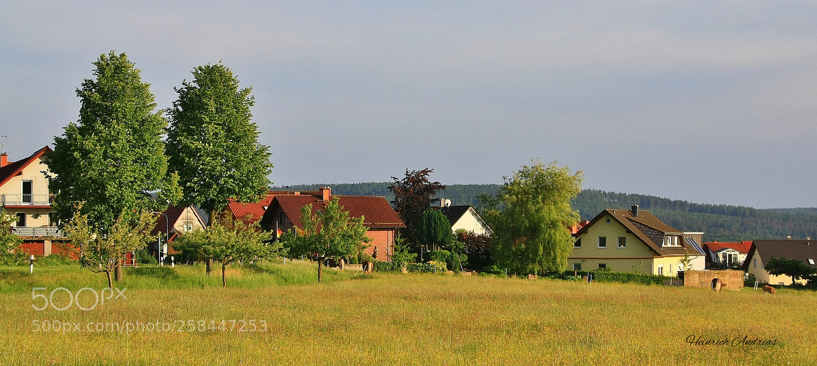 Canon EOS 1000D (EOS Digital Rebel XS / EOS Kiss F) sample photo. Alsberg photography