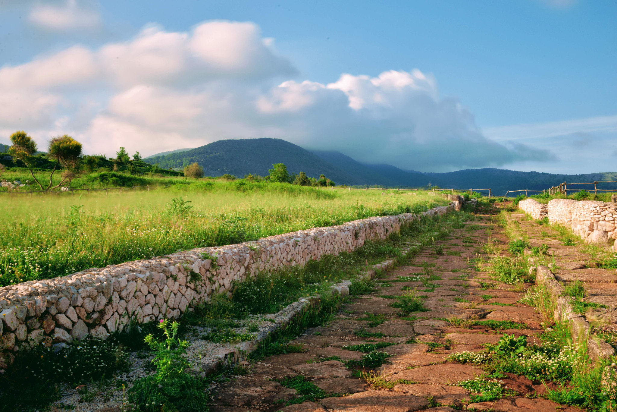 Nikon D610 sample photo. Lungo la strada... photography