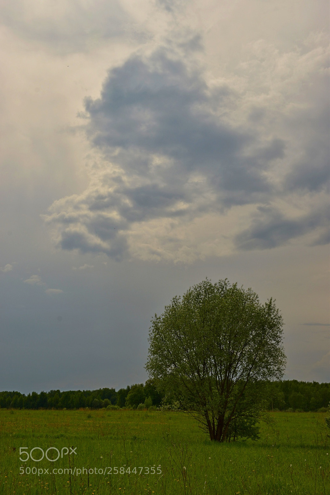 Nikon D3300 sample photo. With a cloude photography