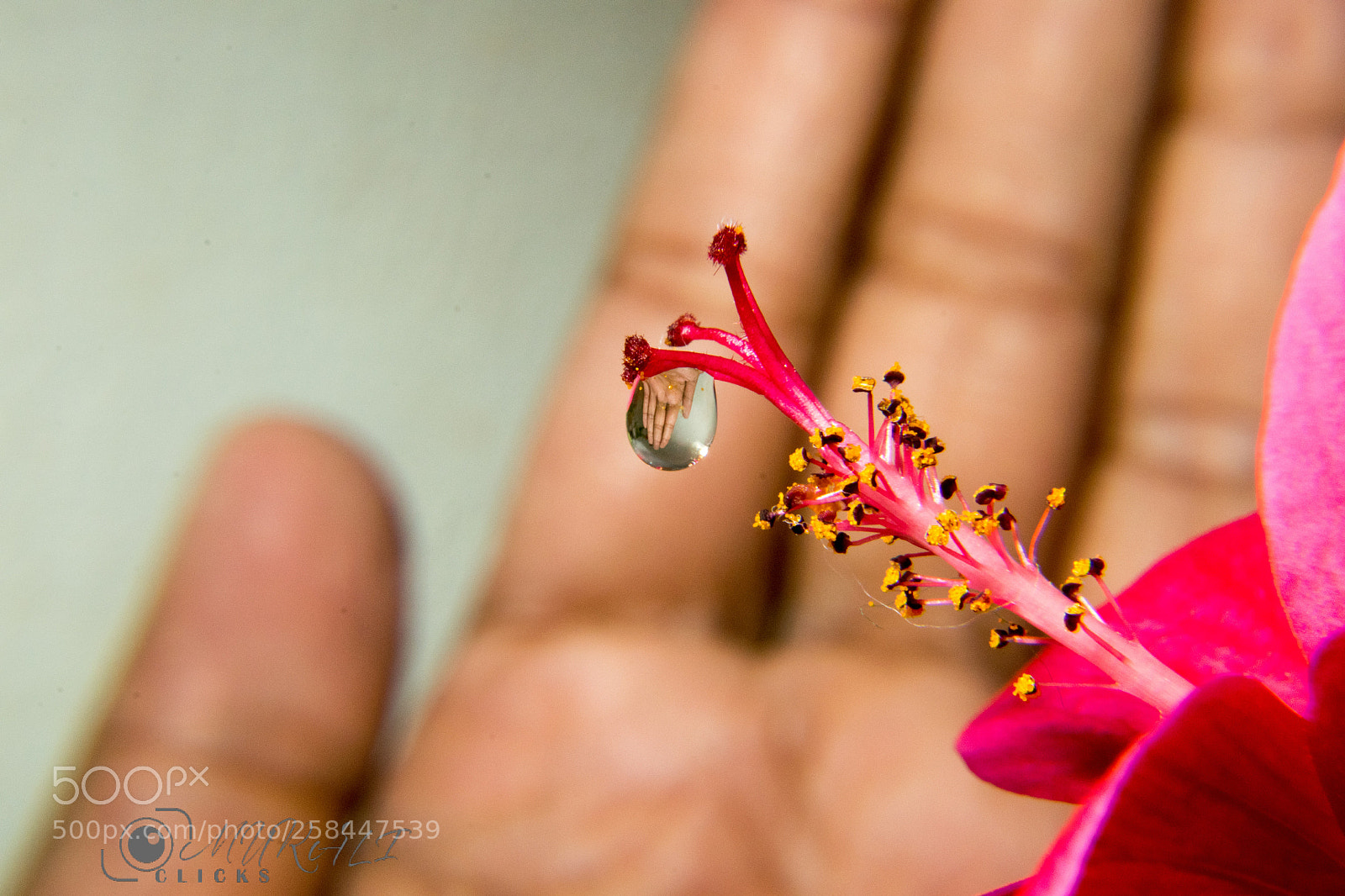 Nikon D5300 sample photo. Untitled photography