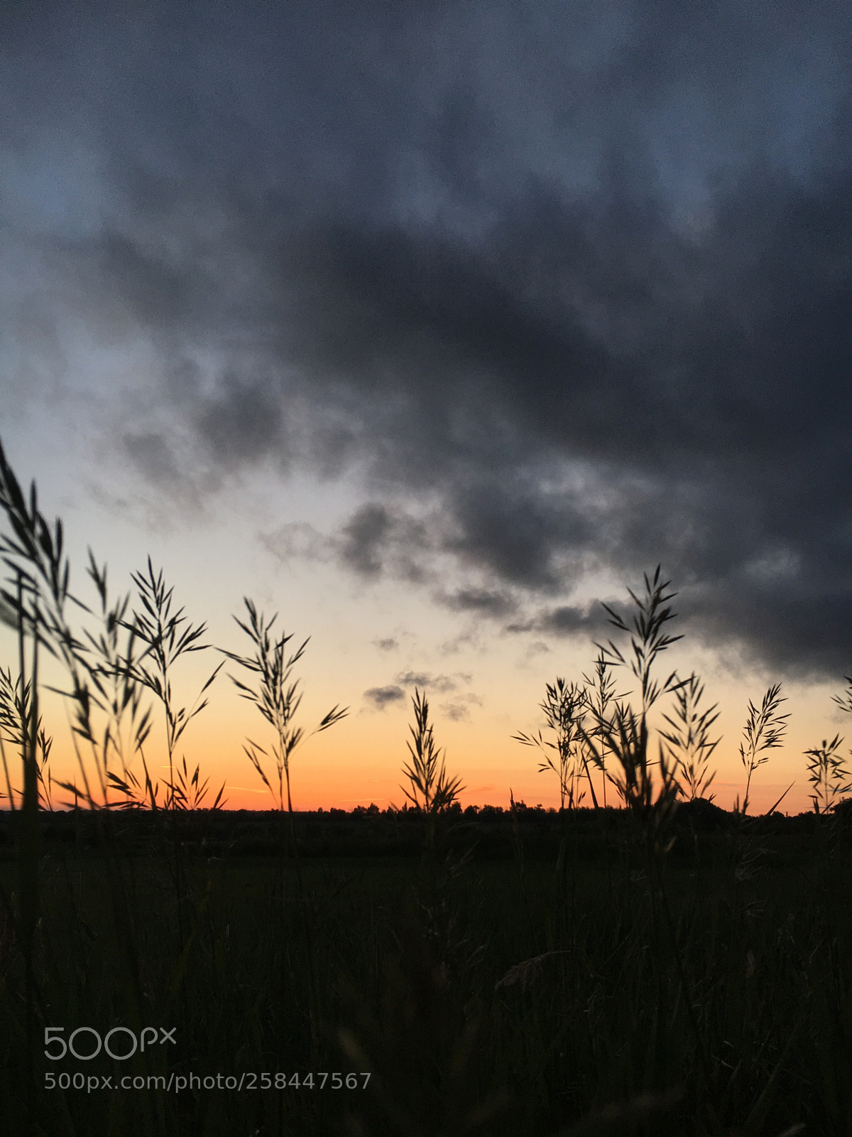 Apple iPhone 6s sample photo. Sunset  photography